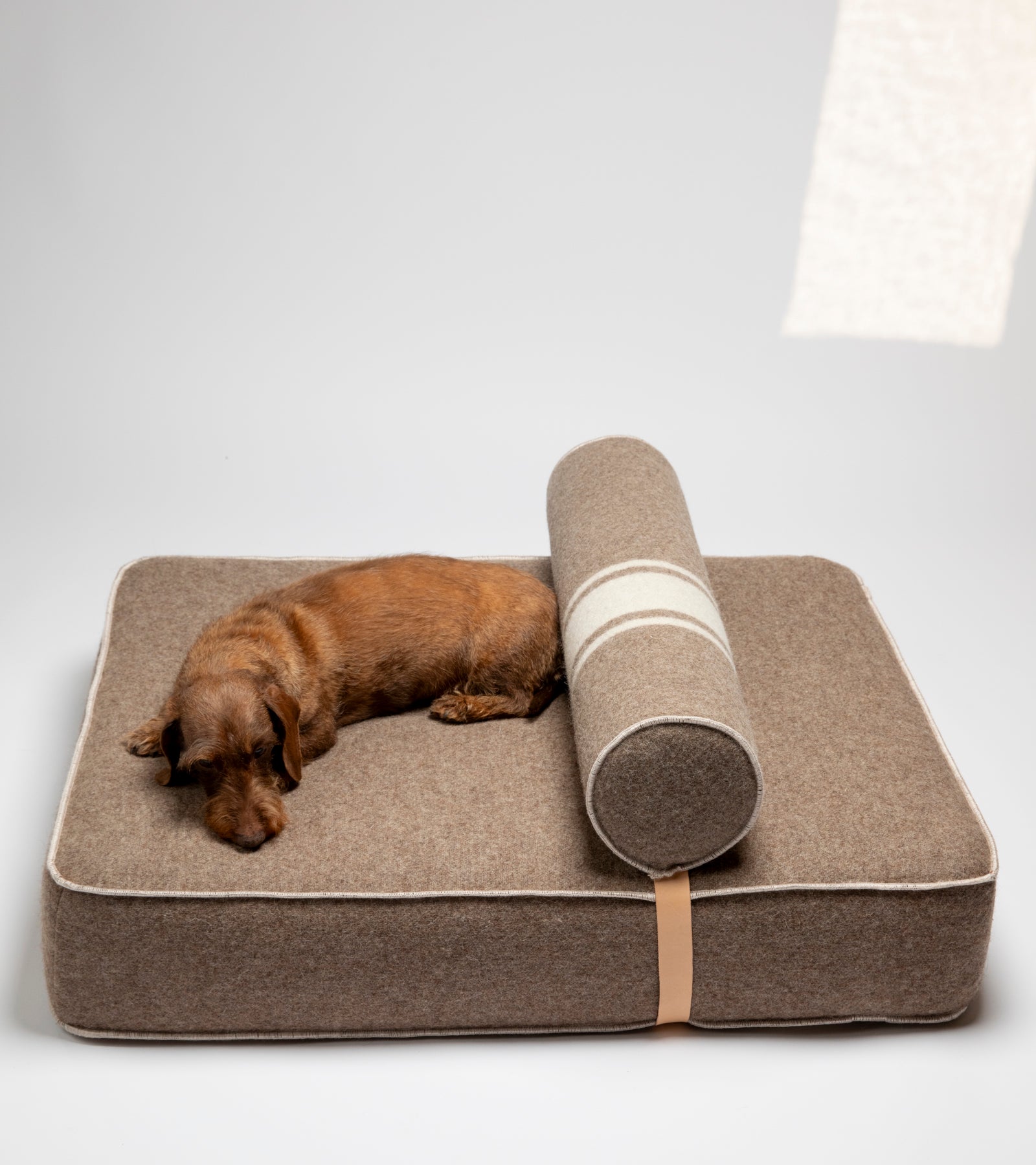 Giampaolo – Lit de jour pour chiens en laine recyclée