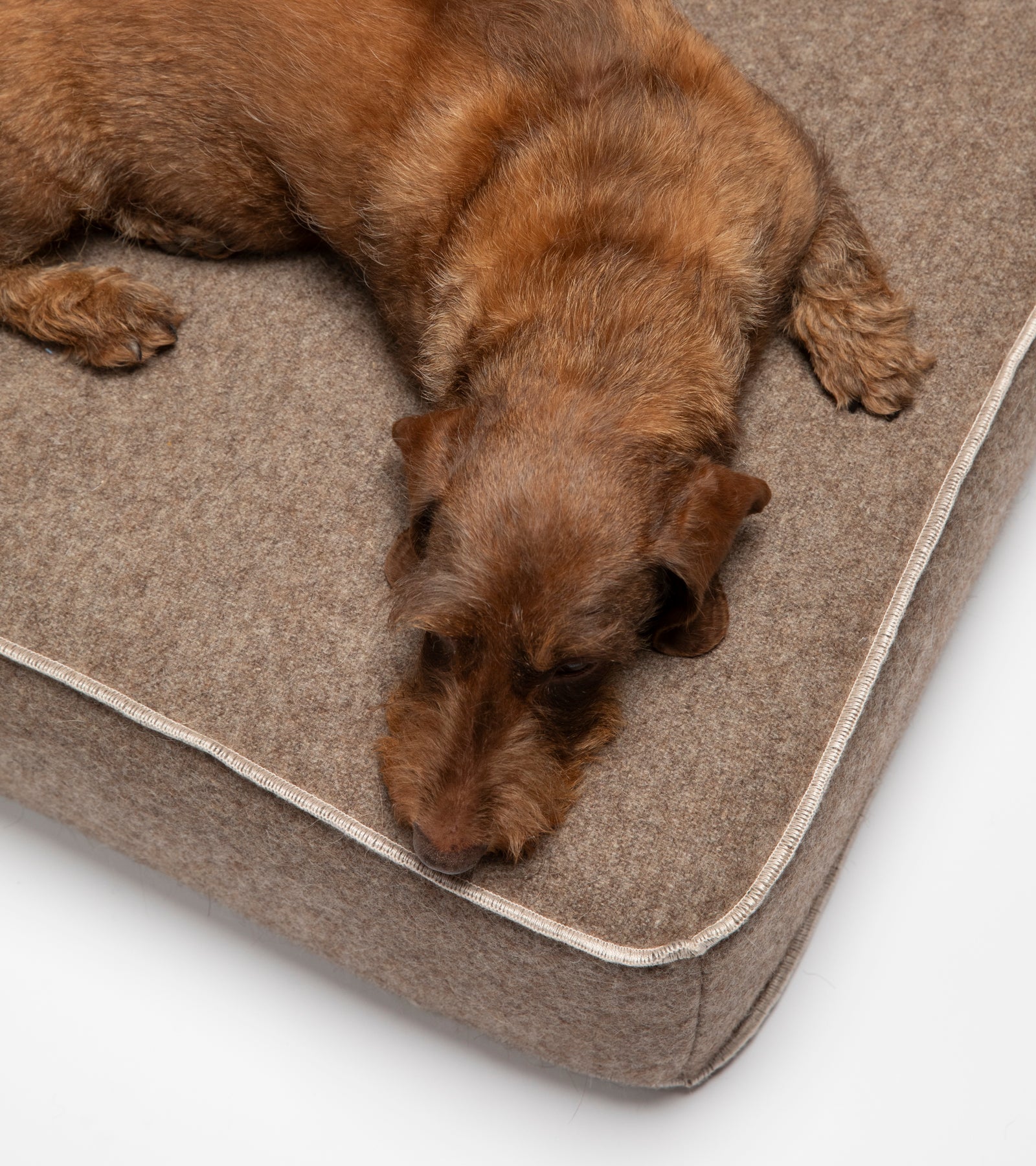 Giampaolo – Lit de jour pour chiens en laine recyclée