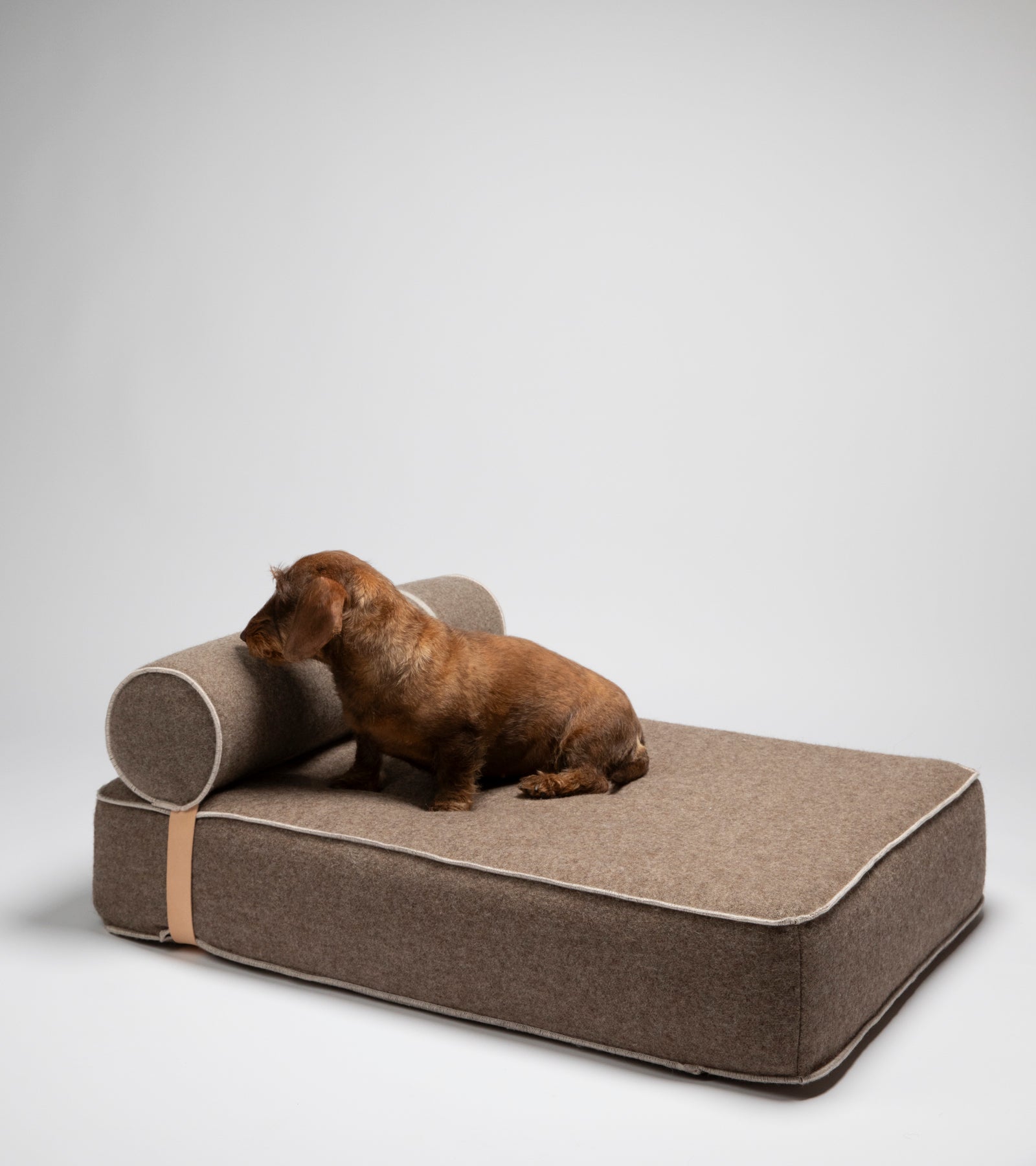 Giampaolo – Lit de jour pour chiens en laine recyclée