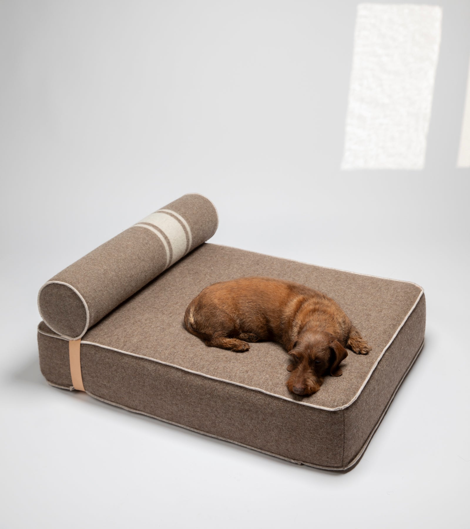 Giampaolo – Lit de jour pour chiens en laine recyclée