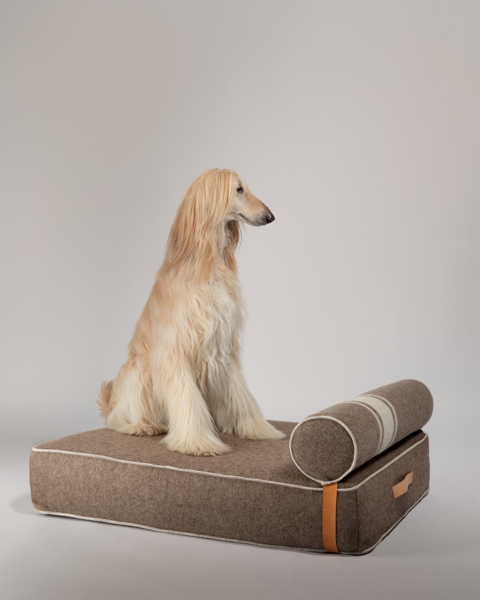 Giampaolo – Lit de jour pour chiens en laine recyclée