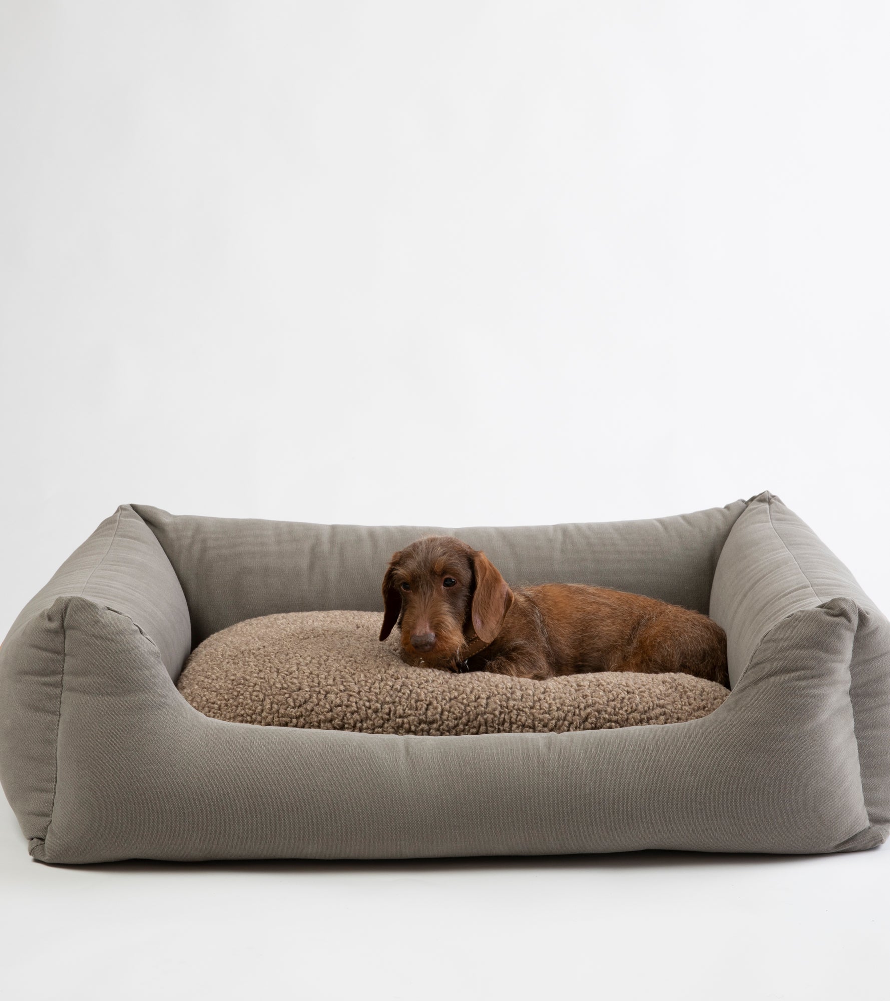 Henri - Cuccia per cani in cotone