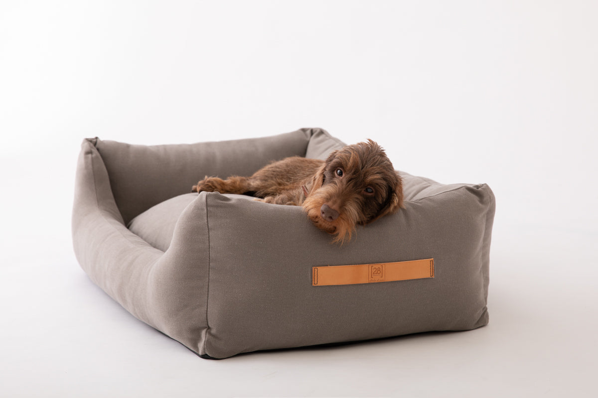 Henri - Cuccia per cani in cotone