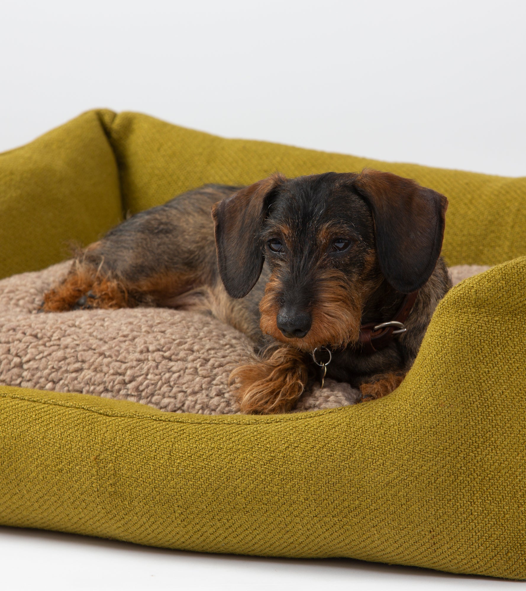 Henri – Mustard Jute Dog Bed