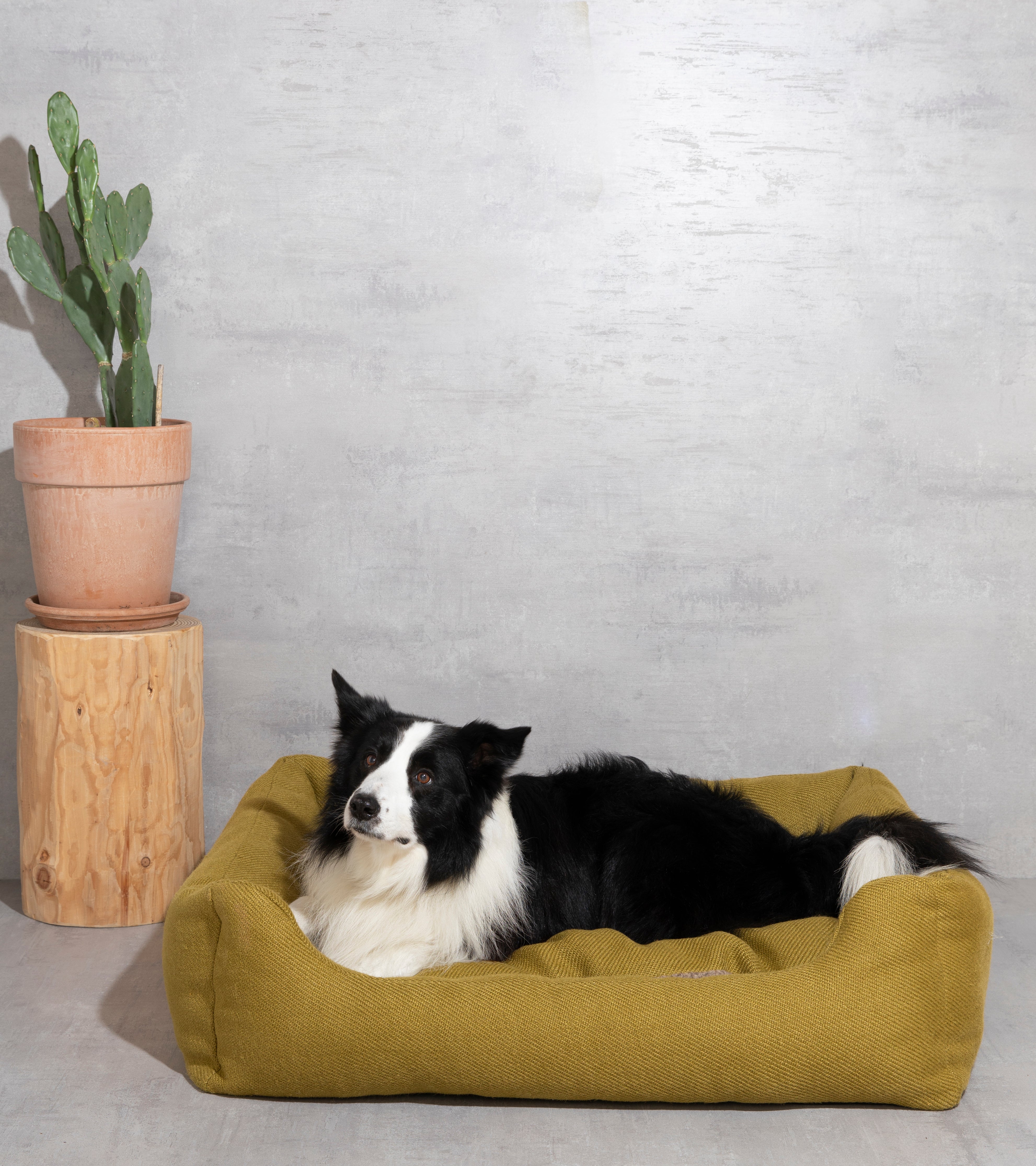 Henri – Mustard Jute Dog Bed
