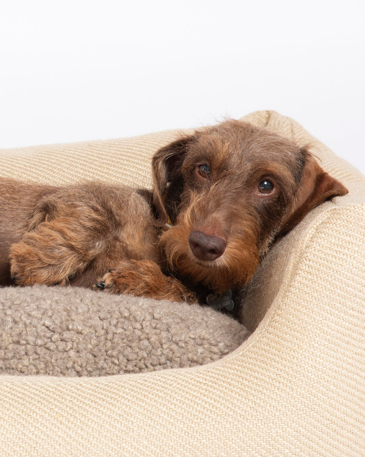 Henri - Jute Dog Bed