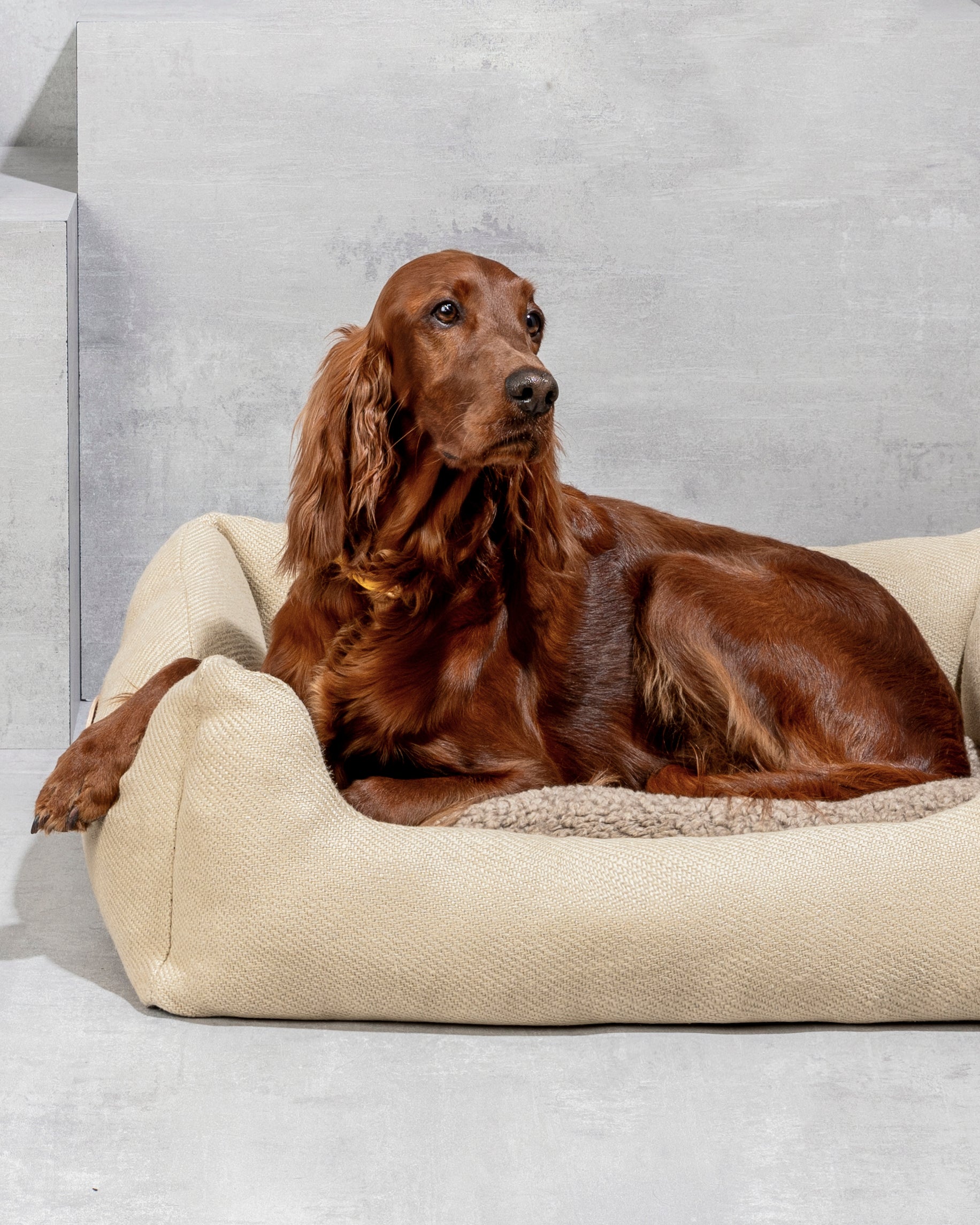 Henri - Jute Dog Bed