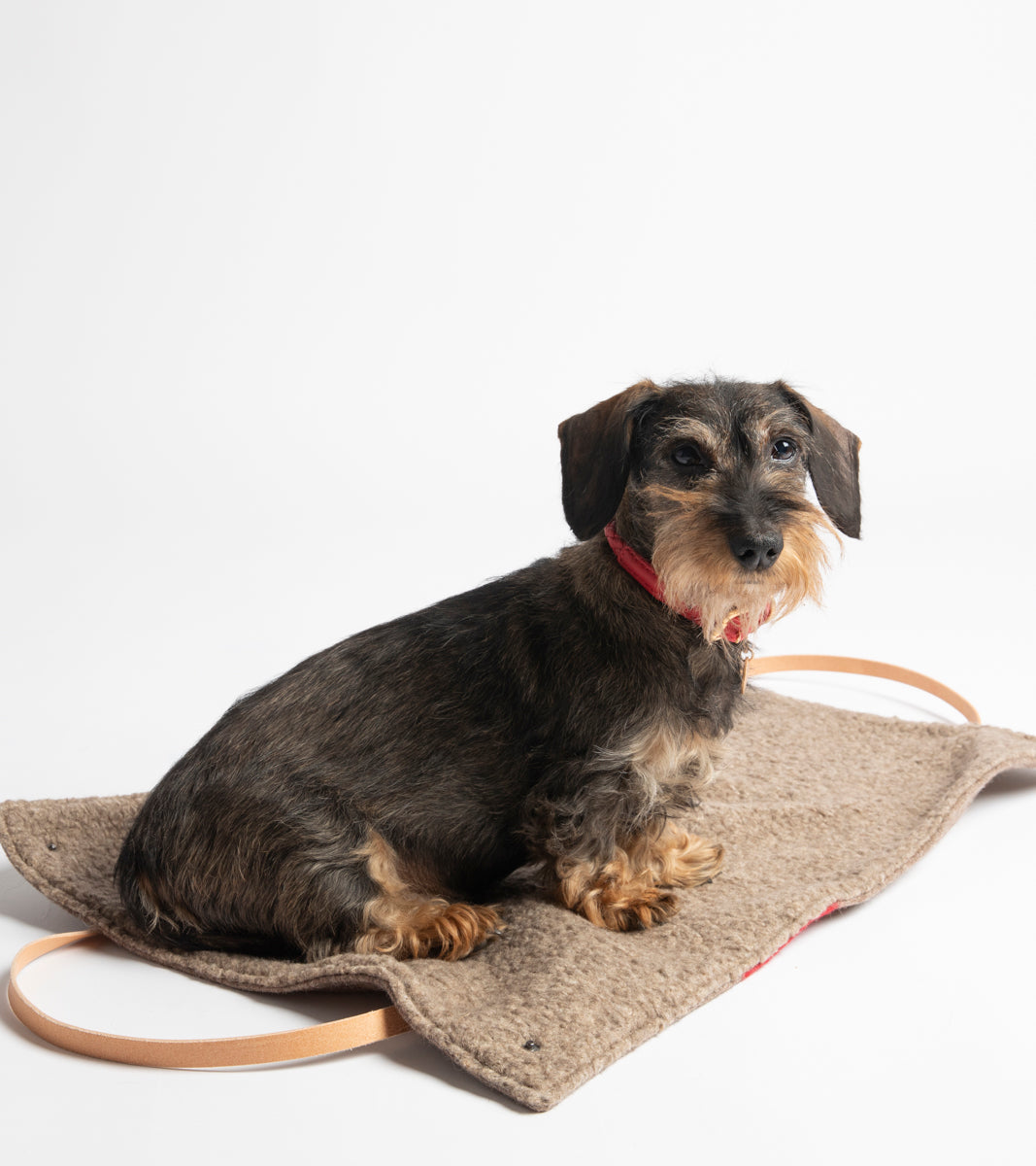 Steve - Tappetino da viaggio in lana Casentino