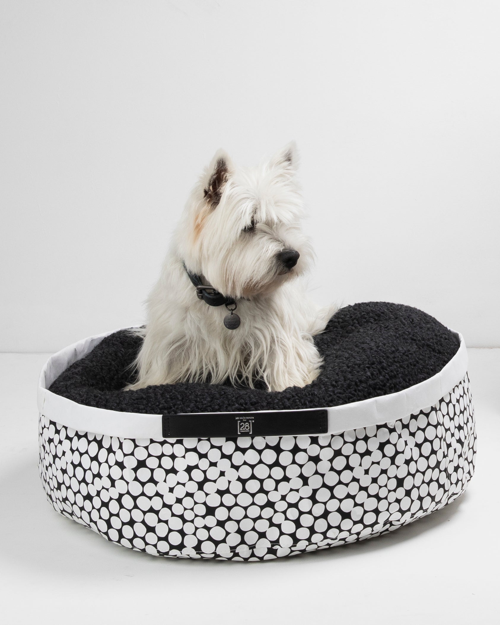 IRVING DOTTO di Paola NAVONE – Cuscino di carta