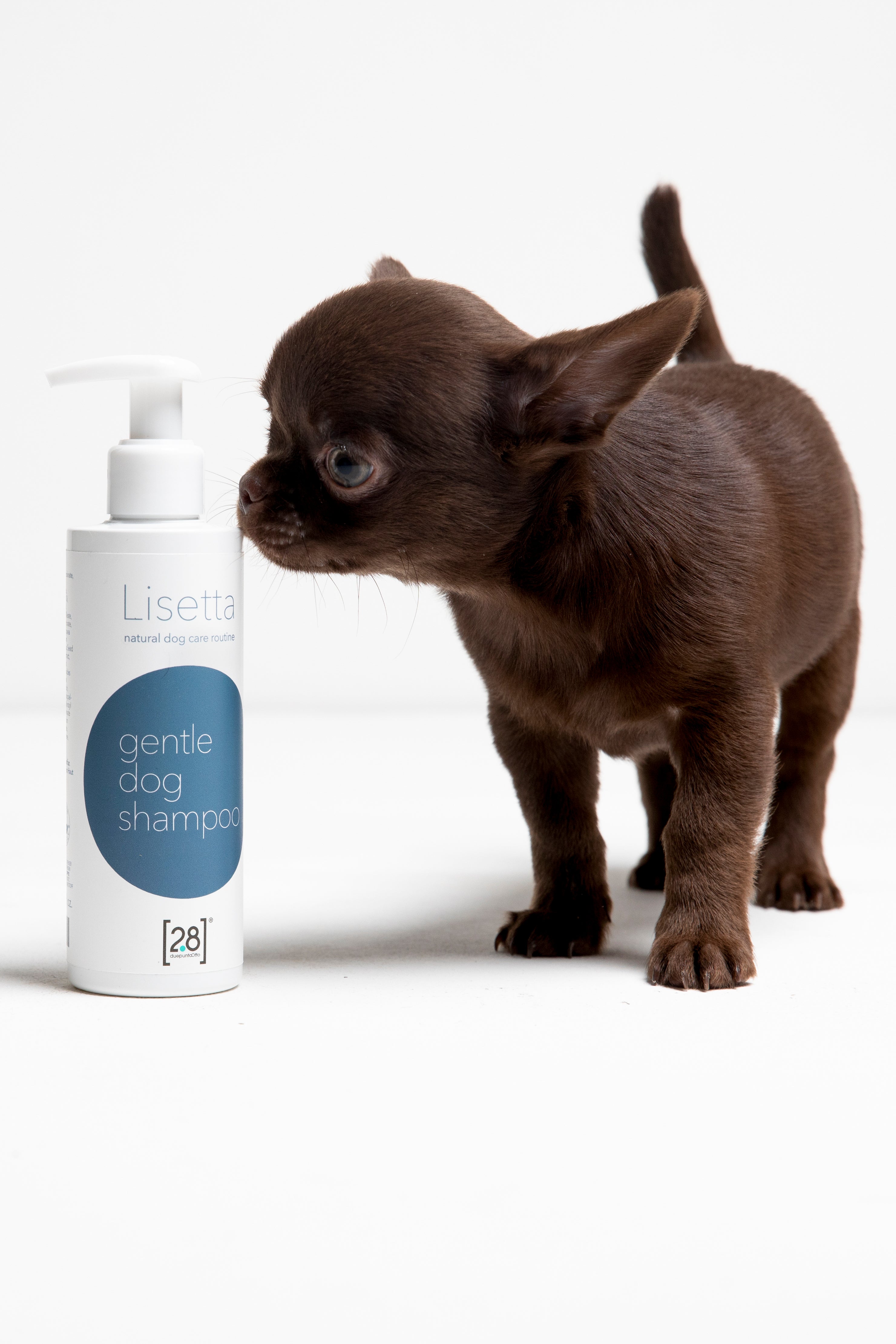 Lisetta - Hundeshampoo