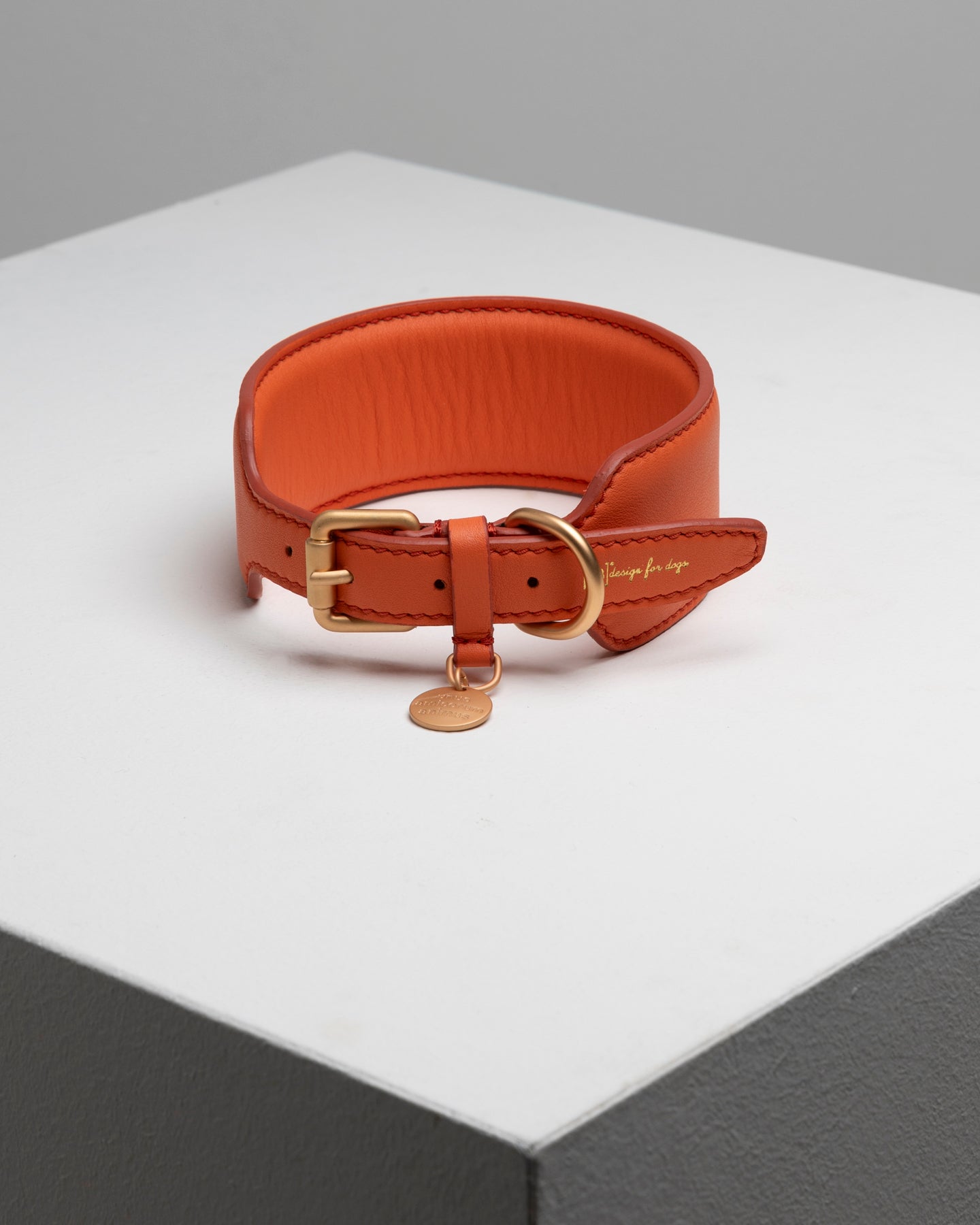 Mario – Collare per levriero