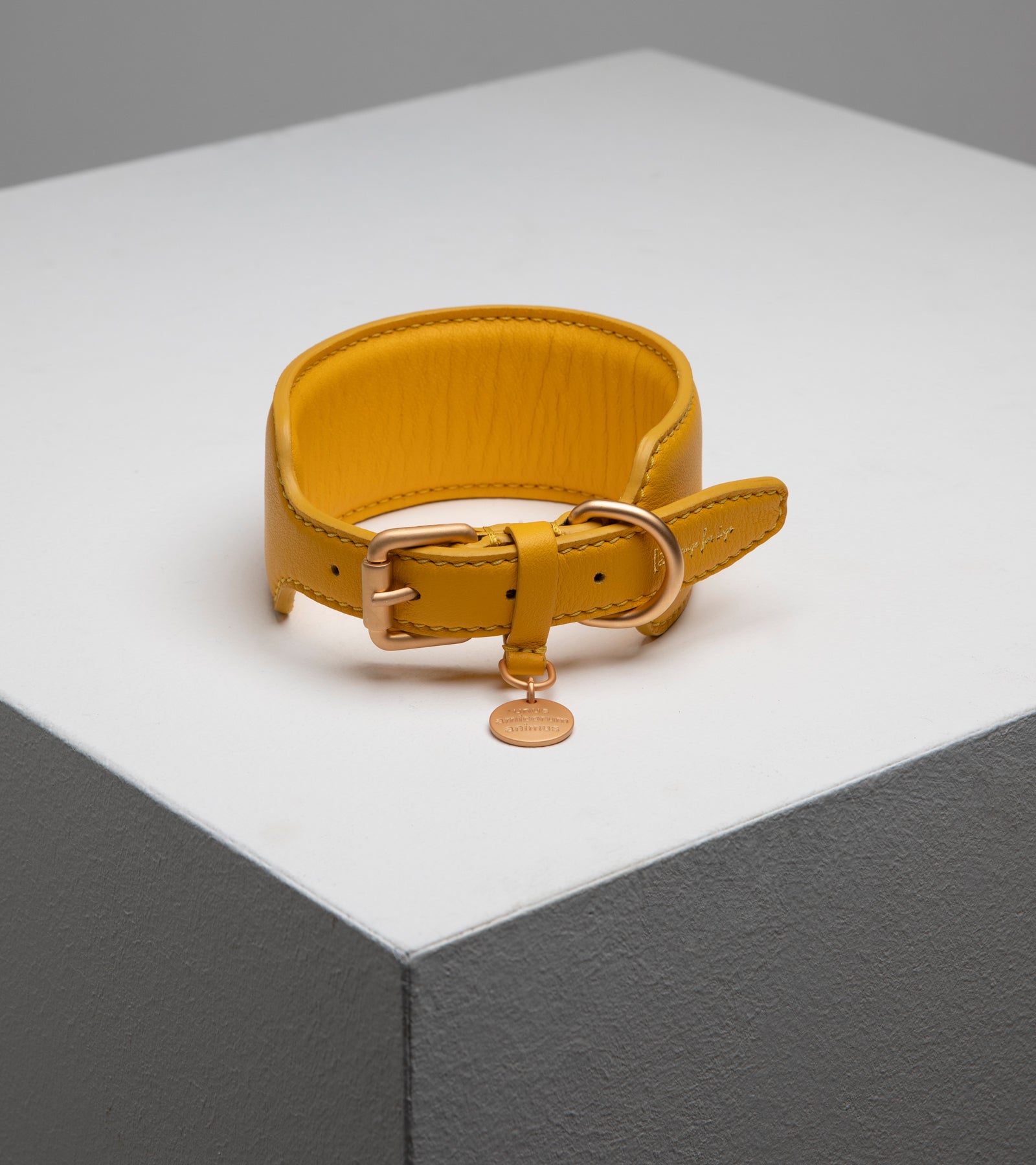 Mario – Collare per levriero