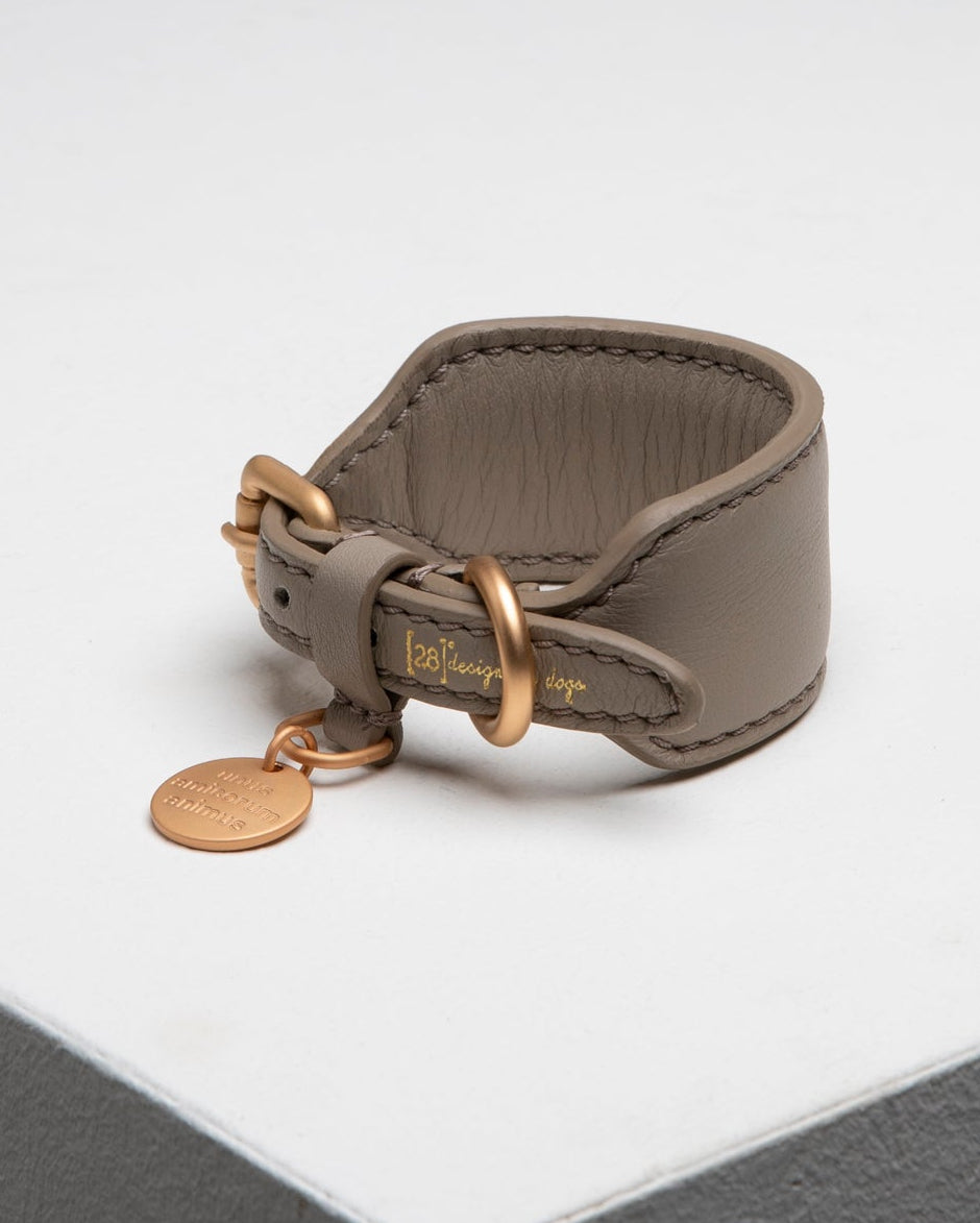 Mario – Greyhound Collar