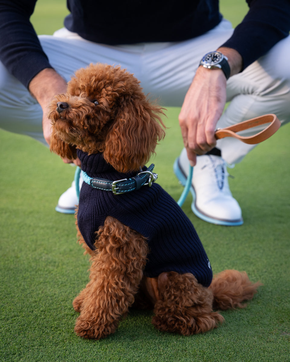 Paul – Maglione per cani in lana merino