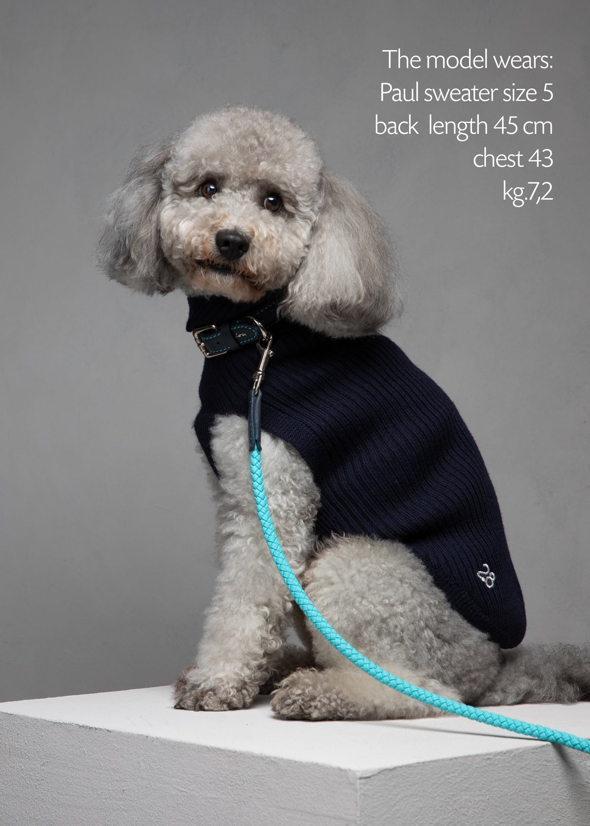 Paul – Merino Wool Dog Sweater