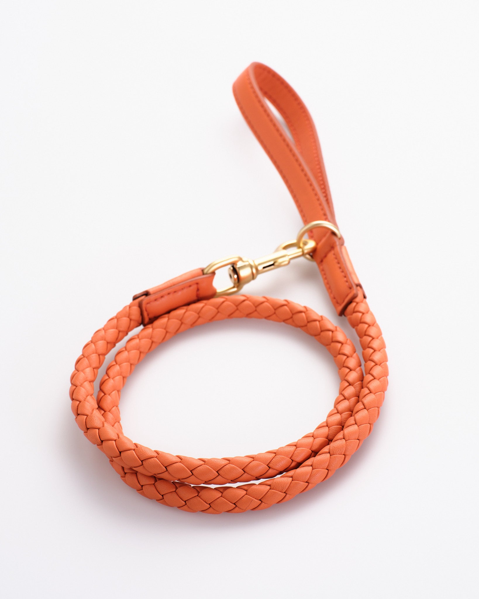 Ferdinando - Braided Leather Leash