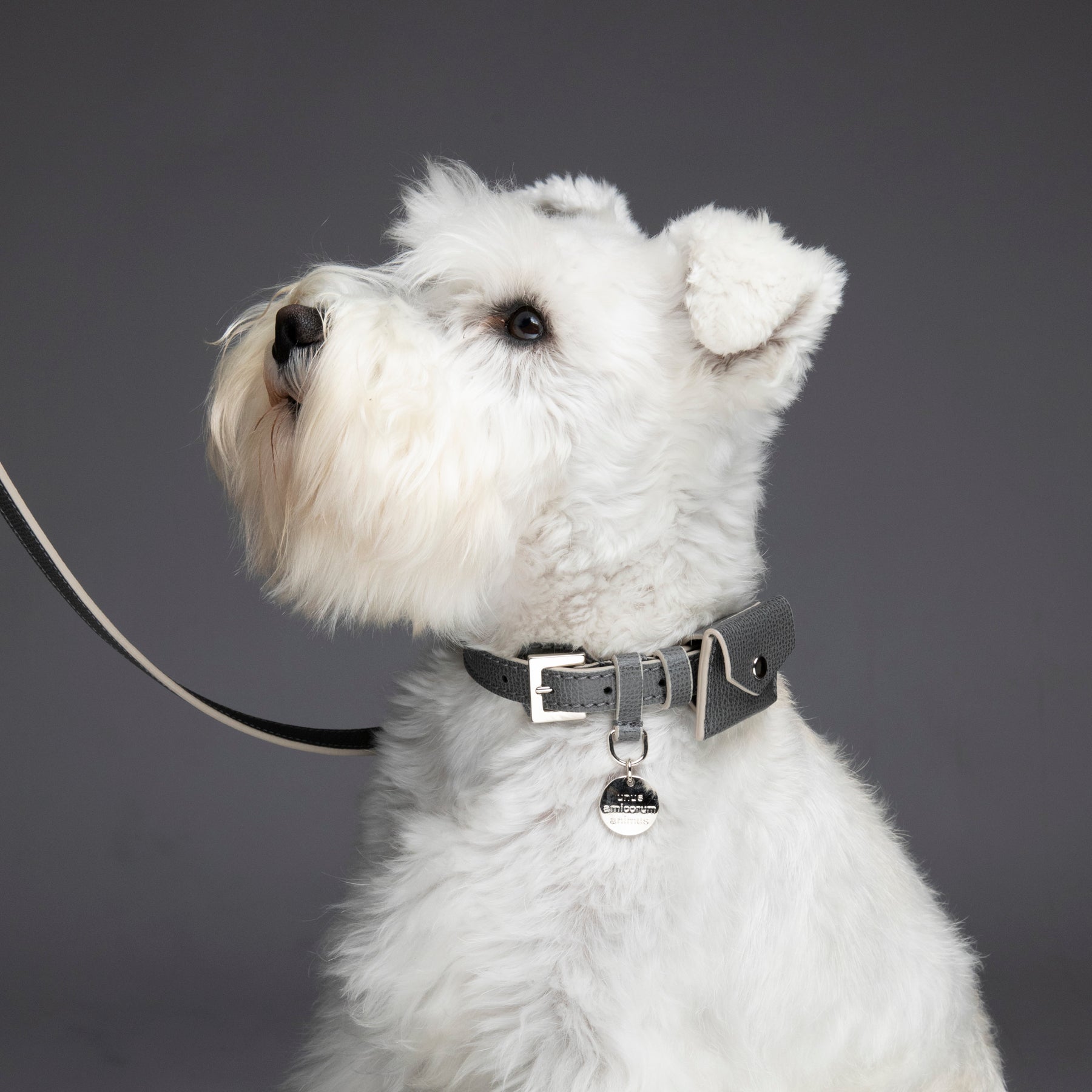 René - Collare in pelle stampata