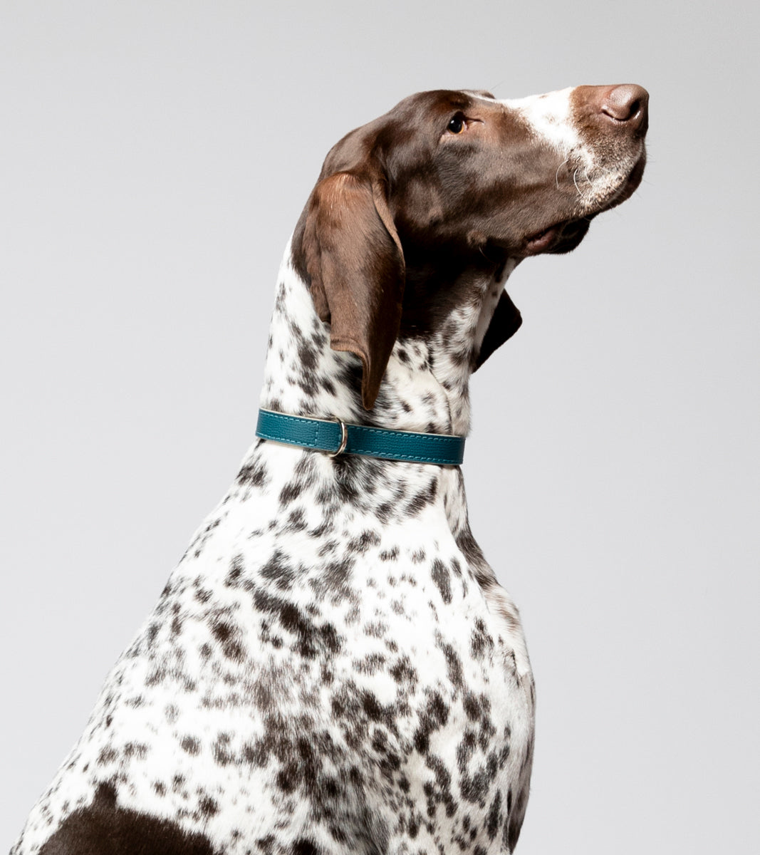 René - Collare in pelle stampata