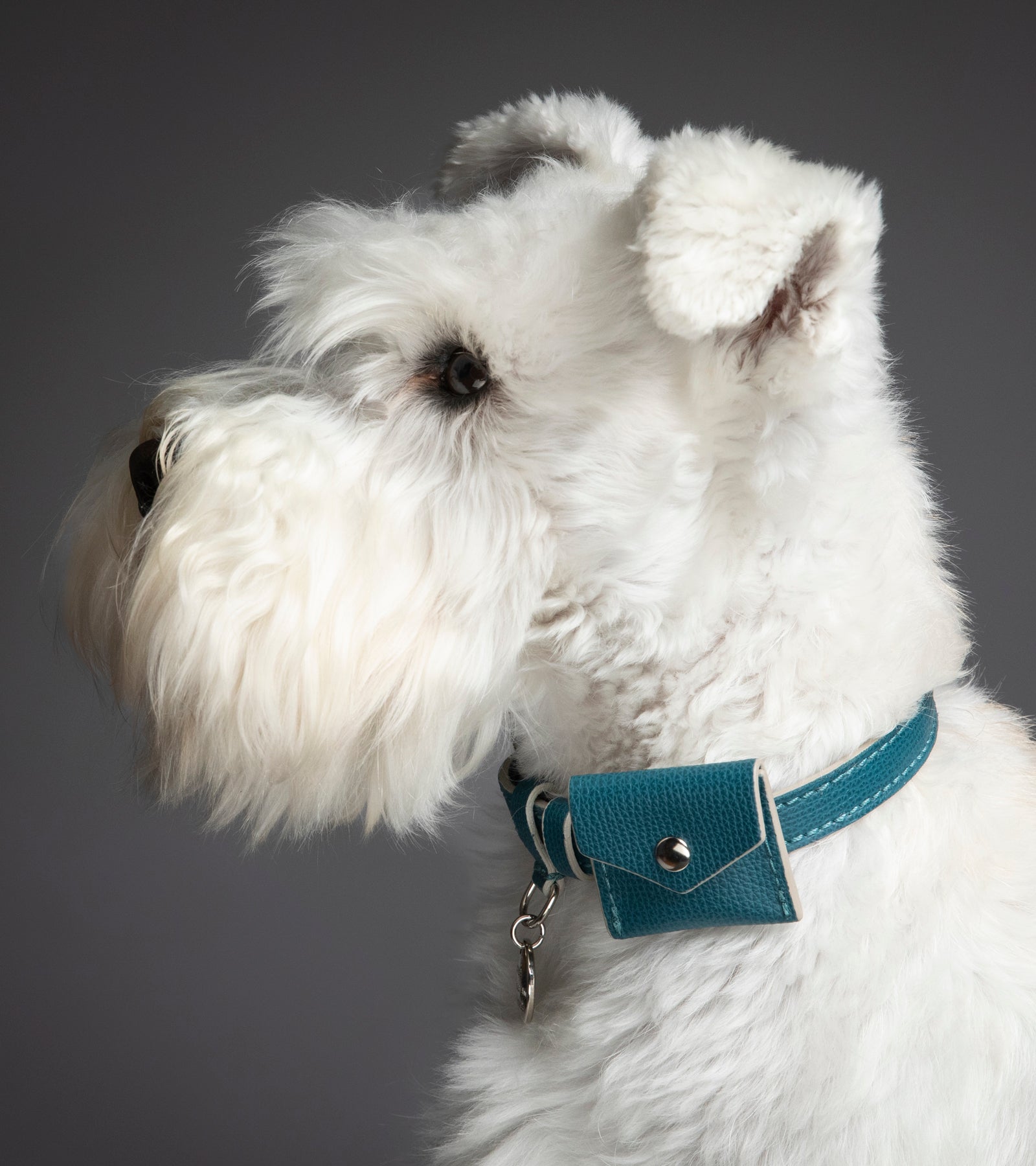 René - Collare in pelle stampata