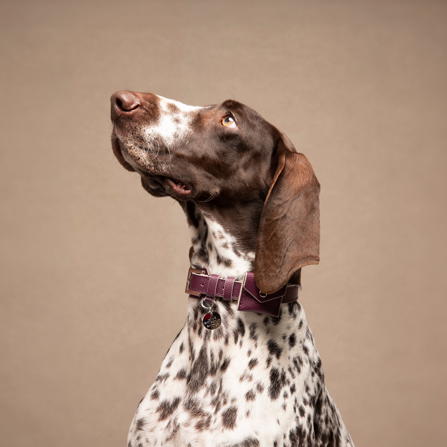 René - Collare in pelle stampata