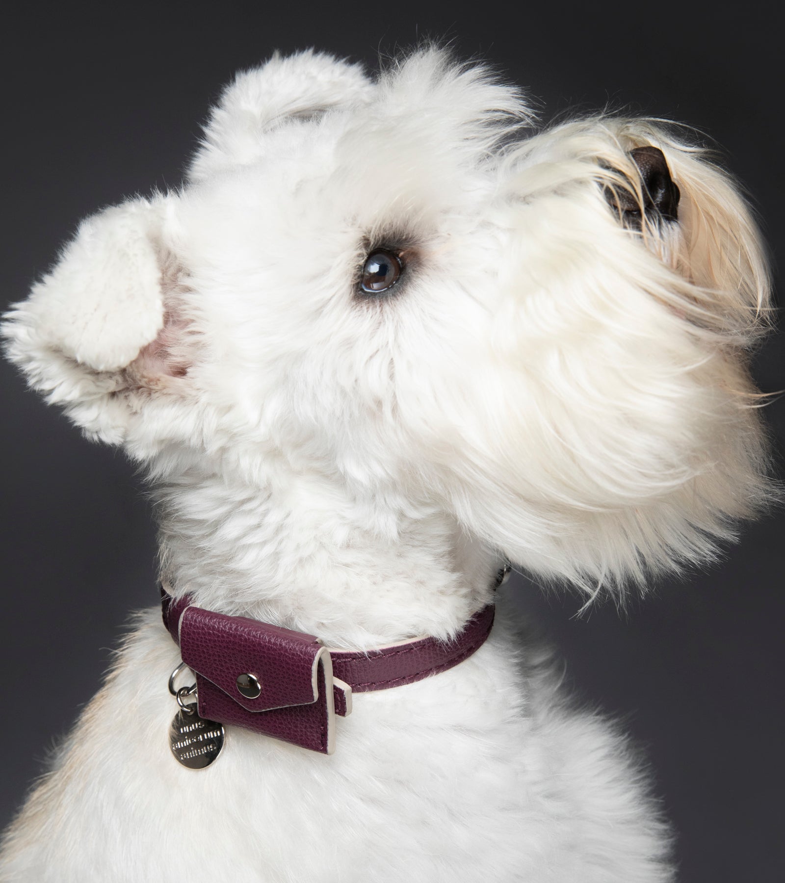 René - Collare in pelle stampata