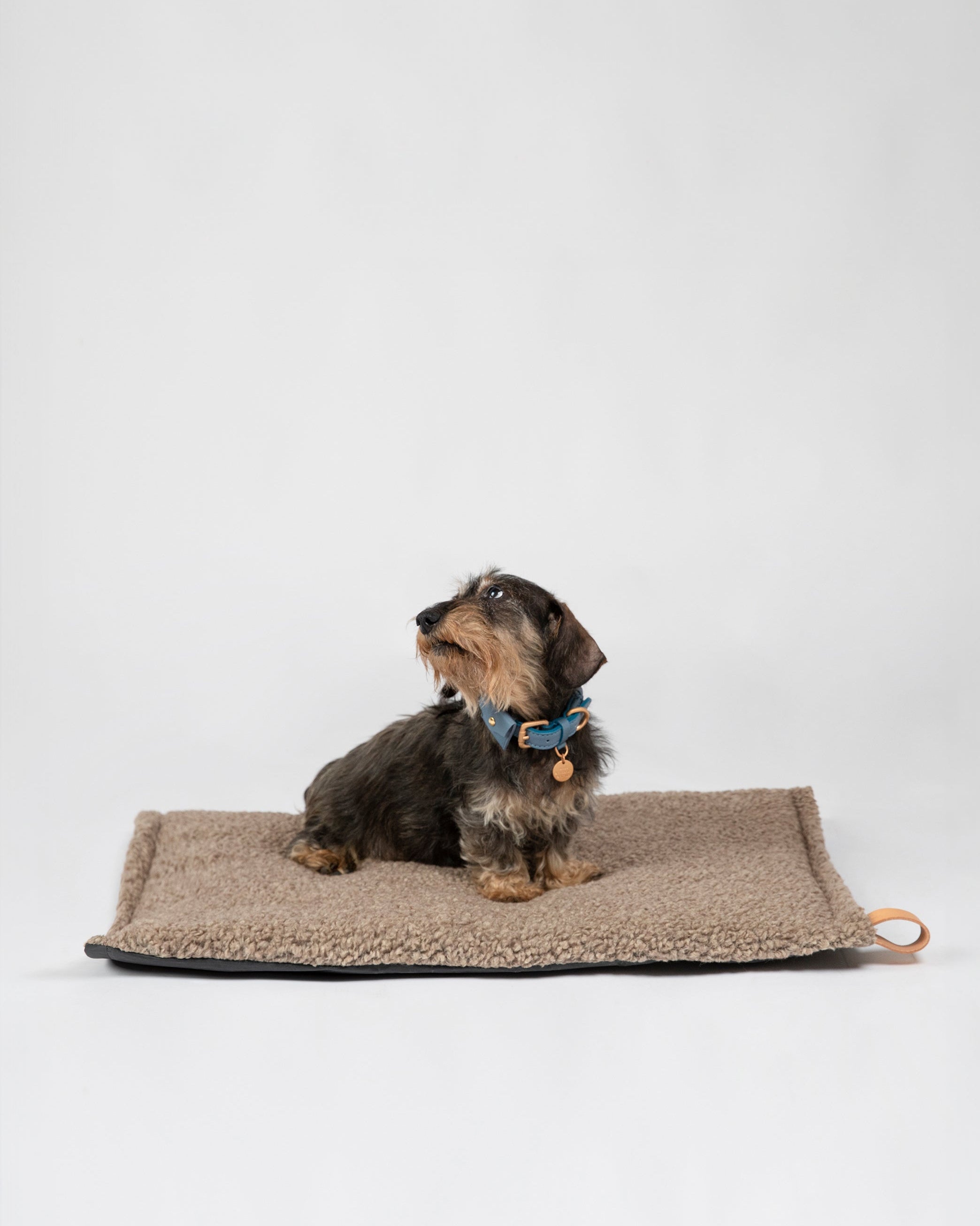 Richard - Coussin Thin Dog en laine