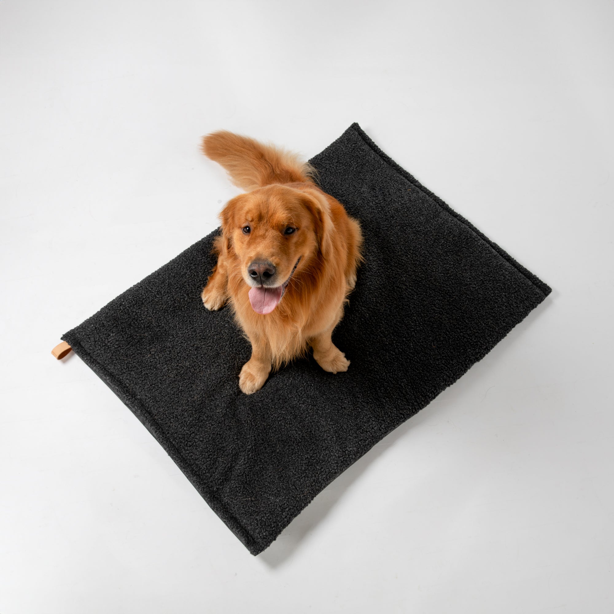 Richard - Cuscino sottile per cani in lana