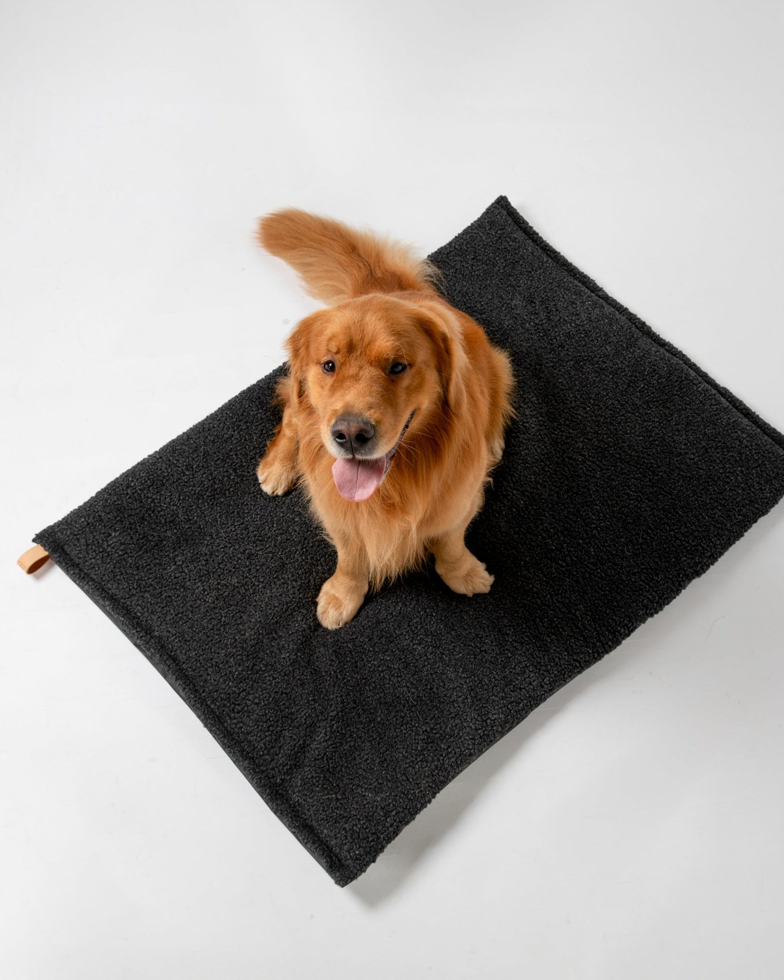 Richard - Coussin Thin Dog en laine