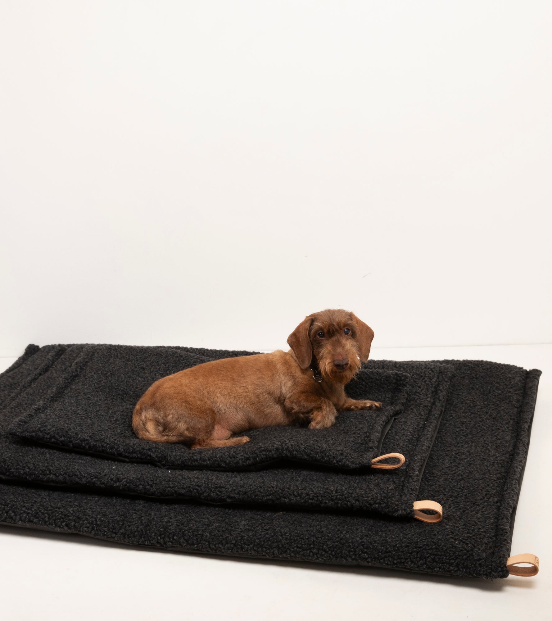 Richard - Cuscino sottile per cani in lana