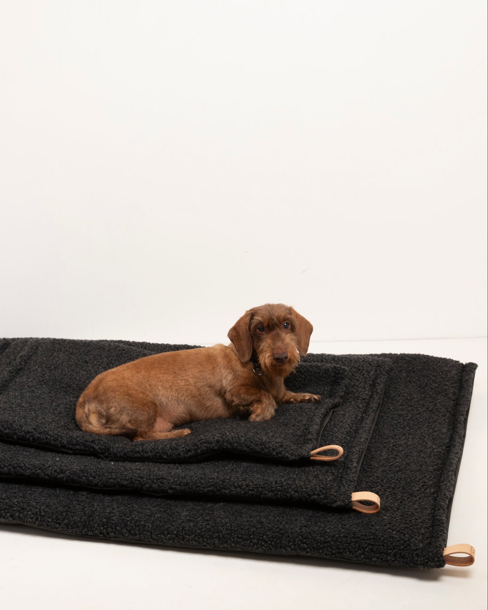 Richard - Coussin Thin Dog en laine
