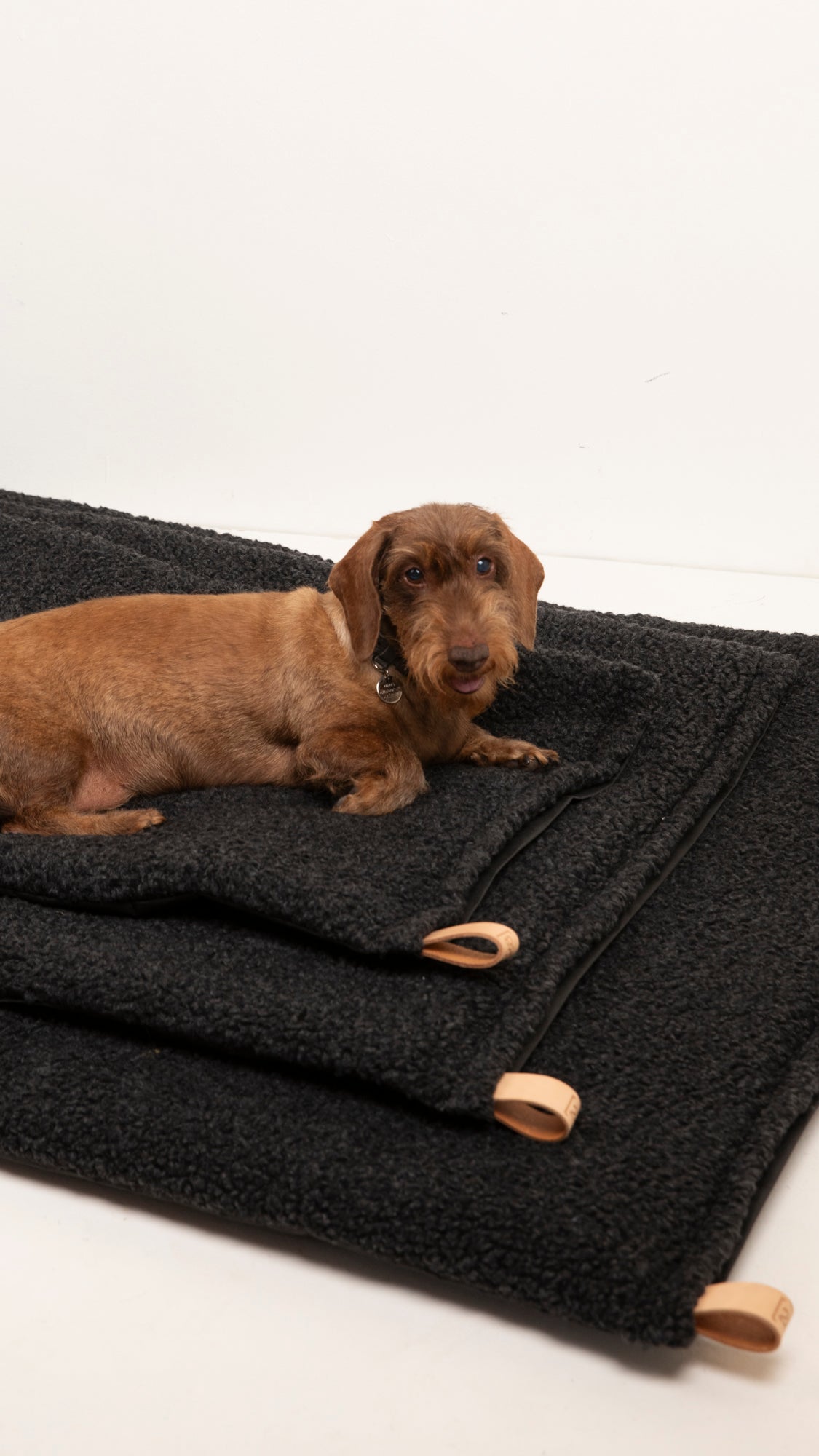 Richard - Cuscino sottile per cani in lana