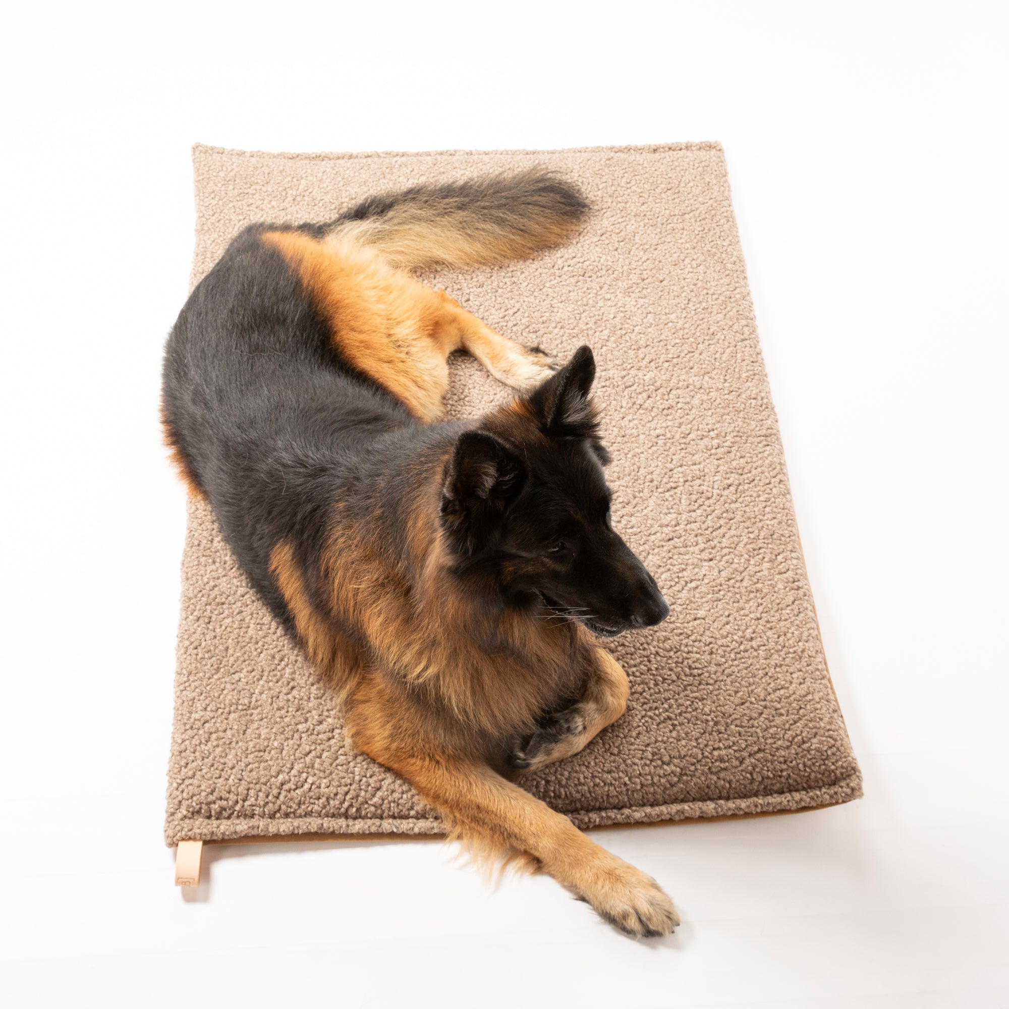 Richard - Cuscino sottile per cani in lana