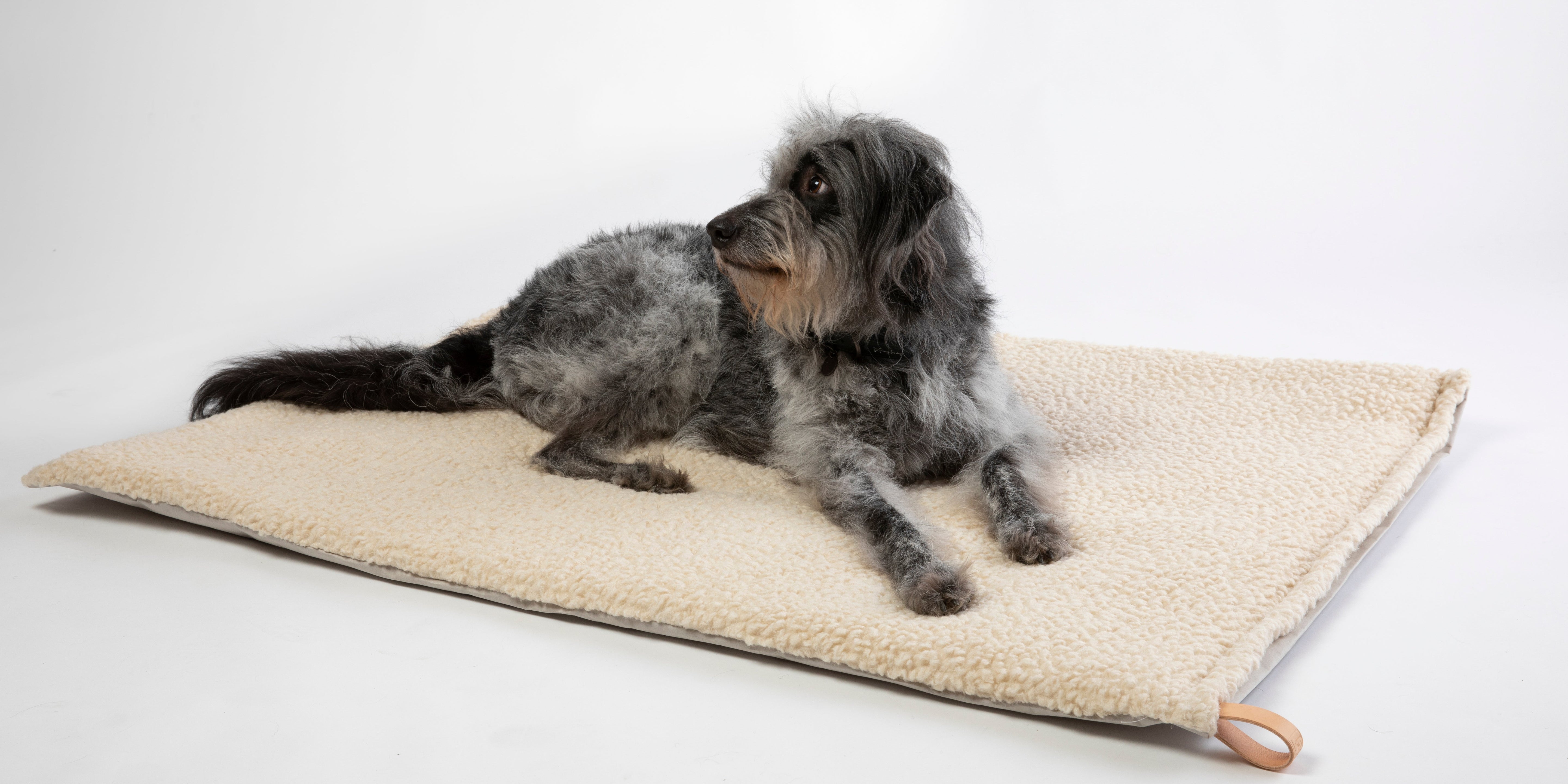 Richard - Cuscino sottile per cani in lana