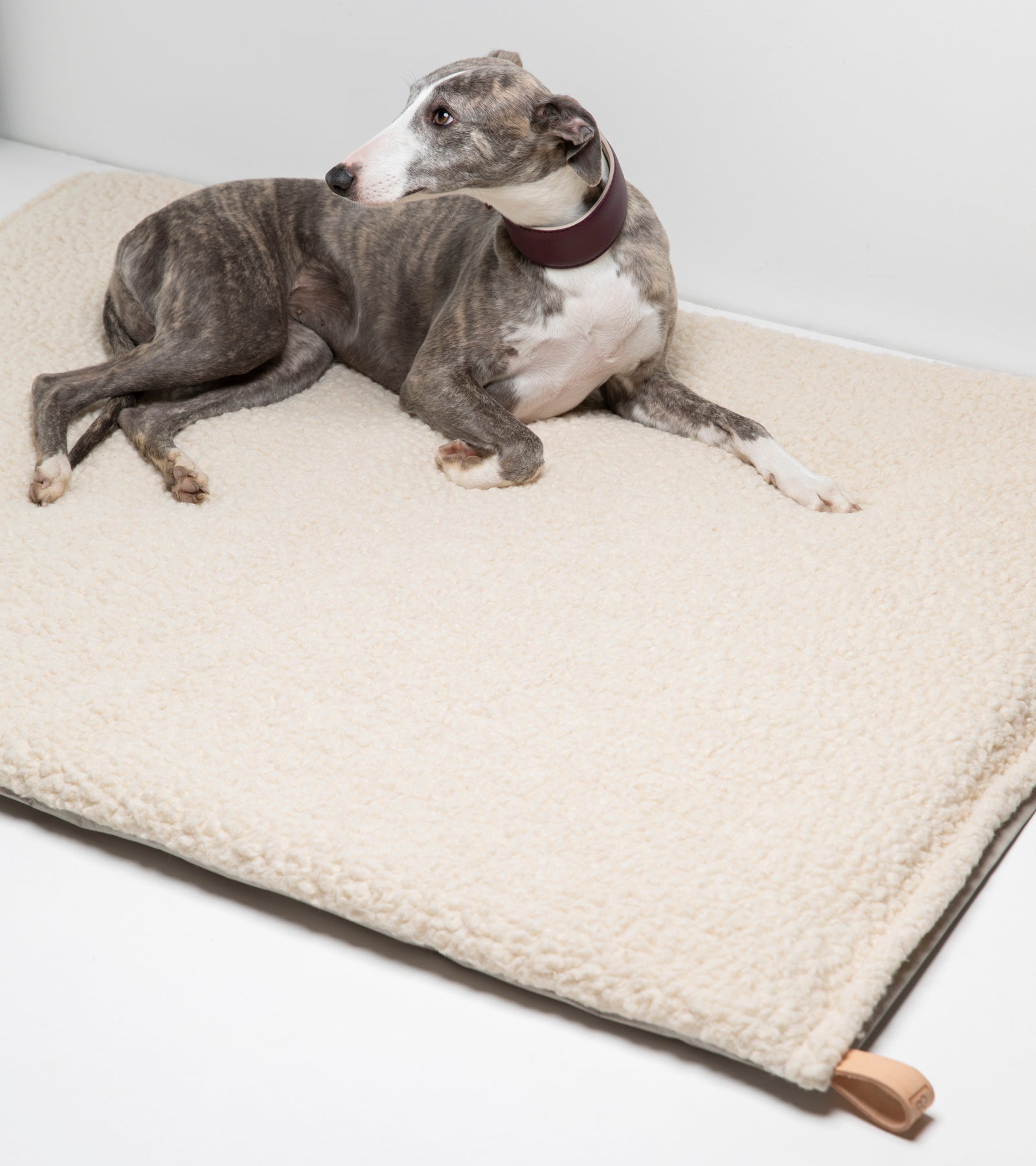 Richard - Thin Dog Cushion in Wool