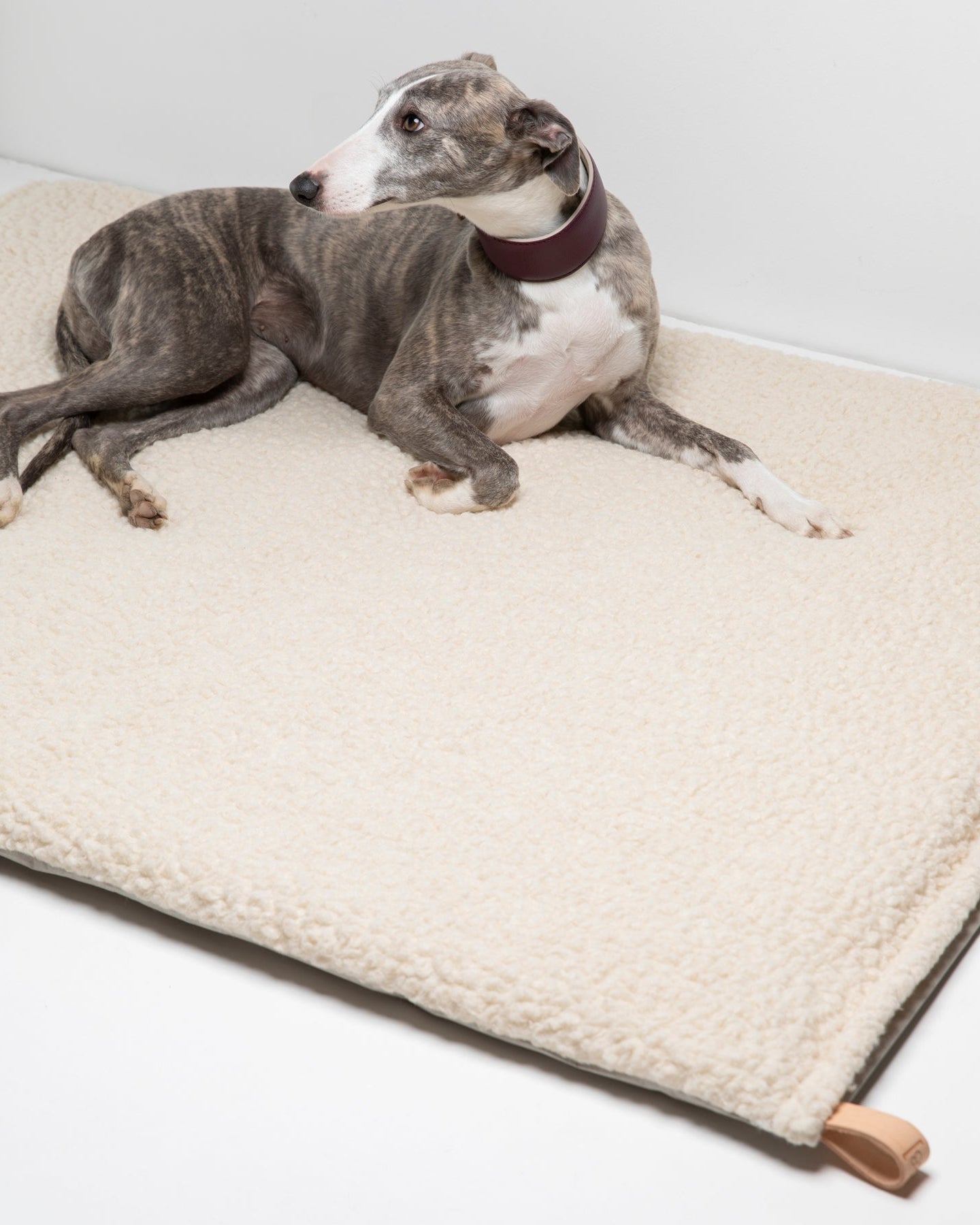 Richard - Cuscino sottile per cani in lana