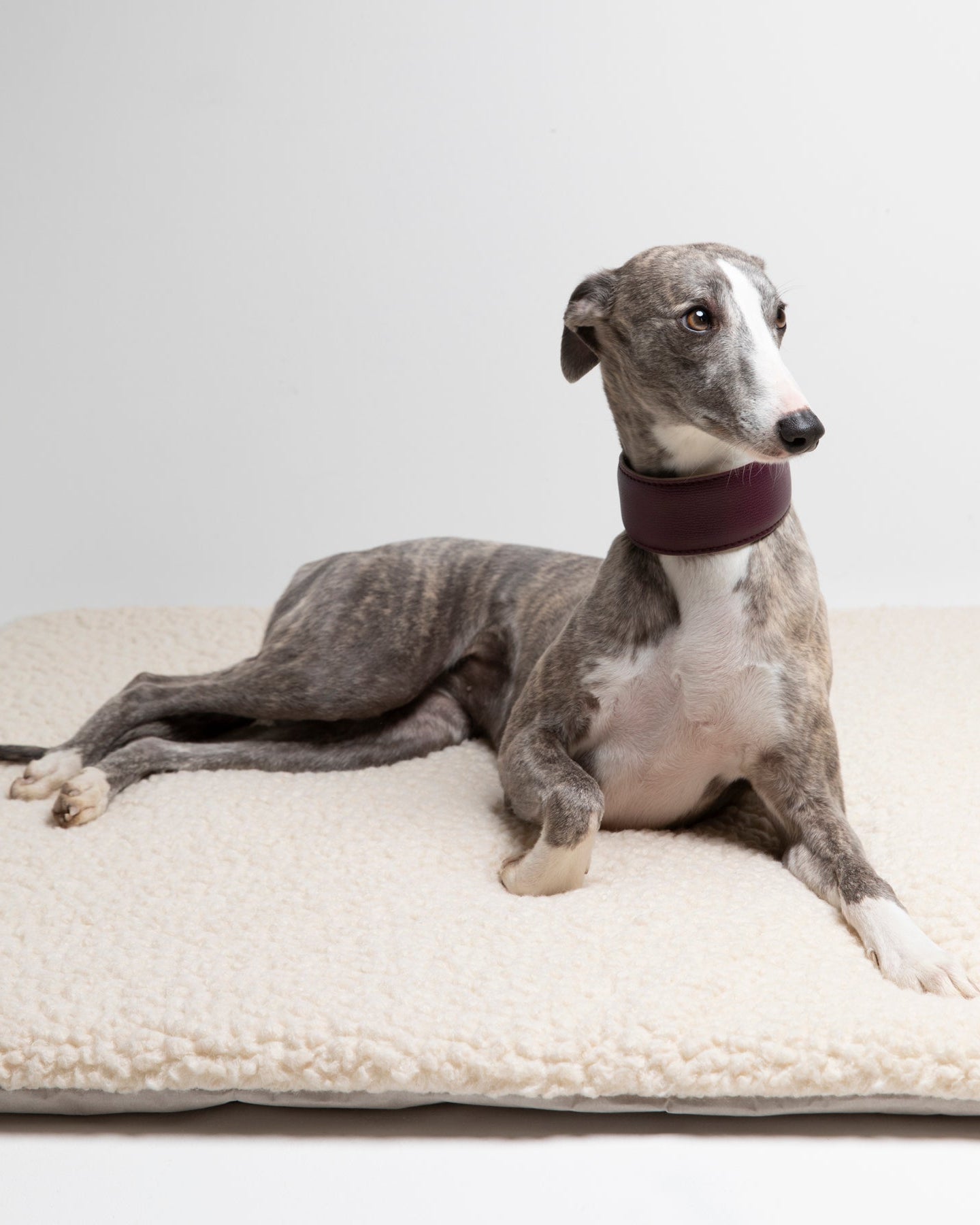 Richard - Cuscino sottile per cani in lana