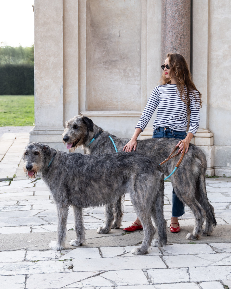 Ferdinando – Laisse pour chien | 2.8 X Riva