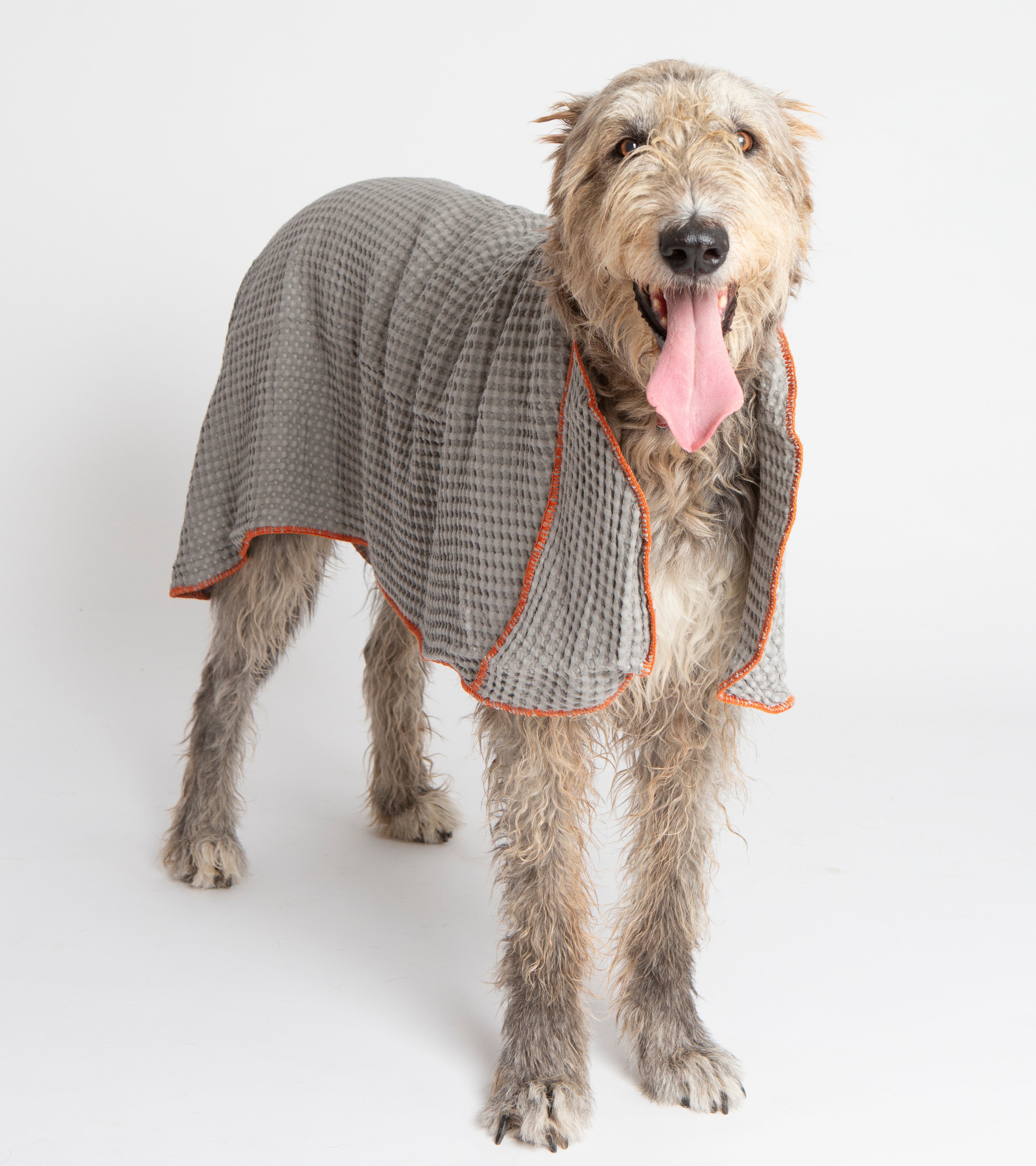 Sally Cotton Dog Towel