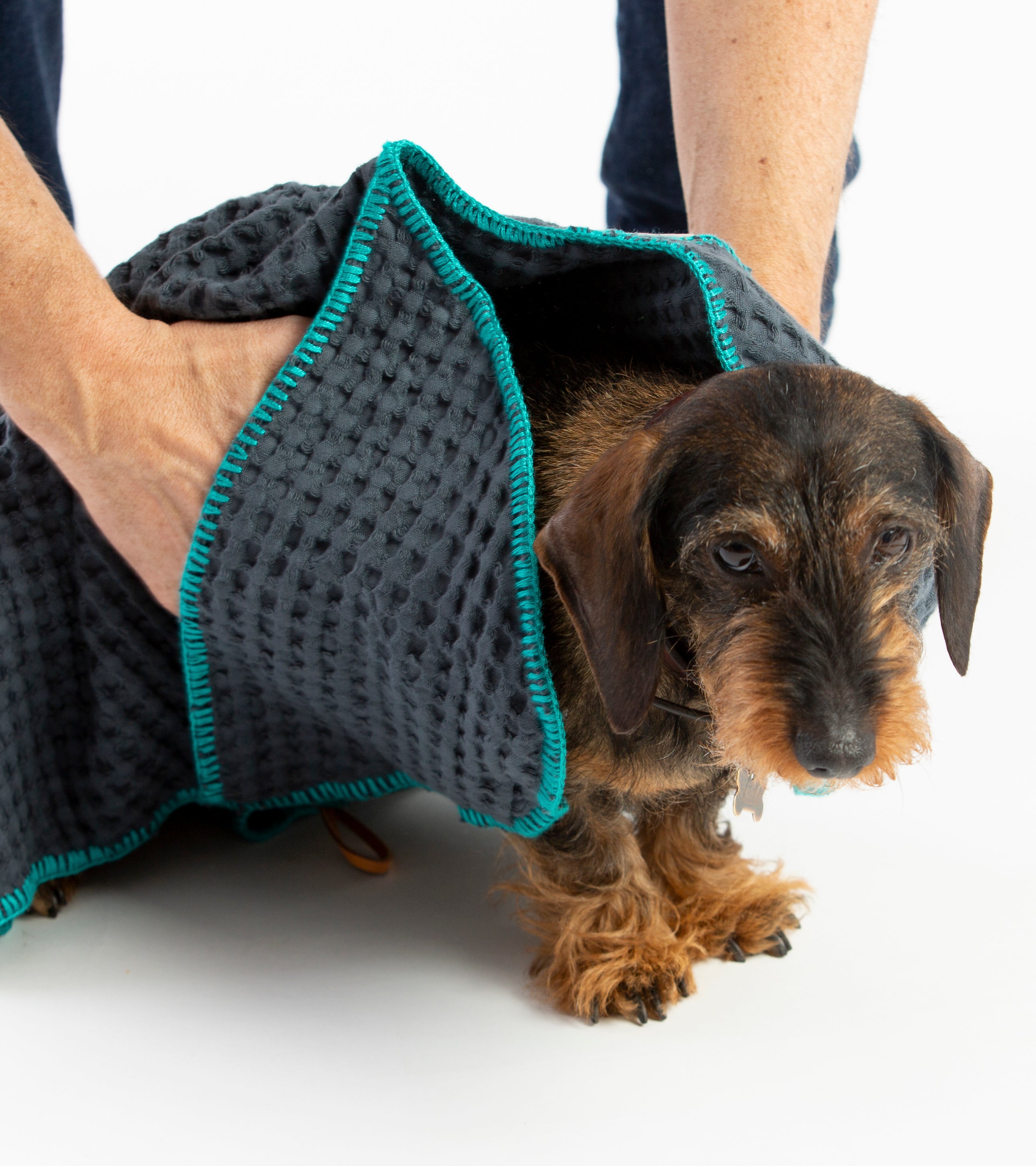 Sally Cotton Dog Towel