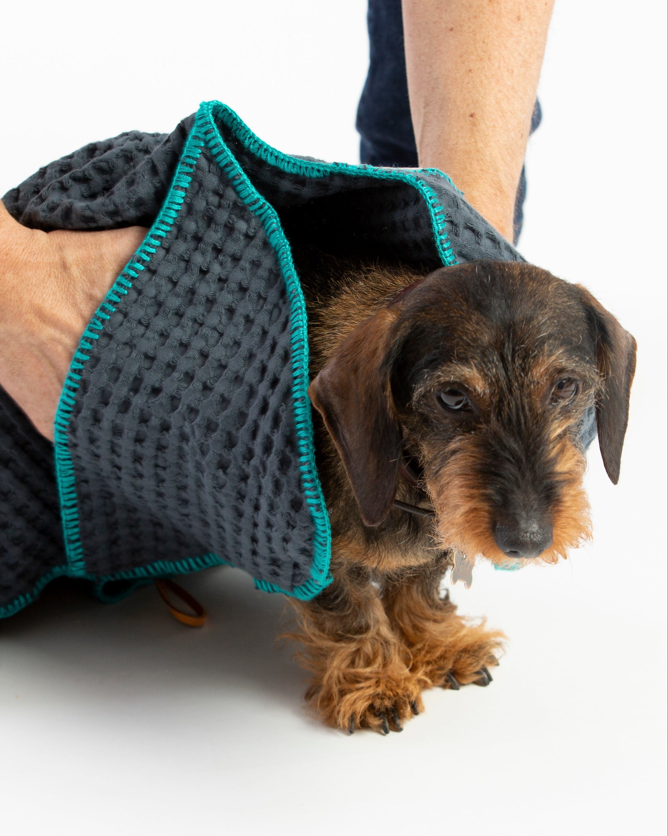 Sally Cotton Dog Towel