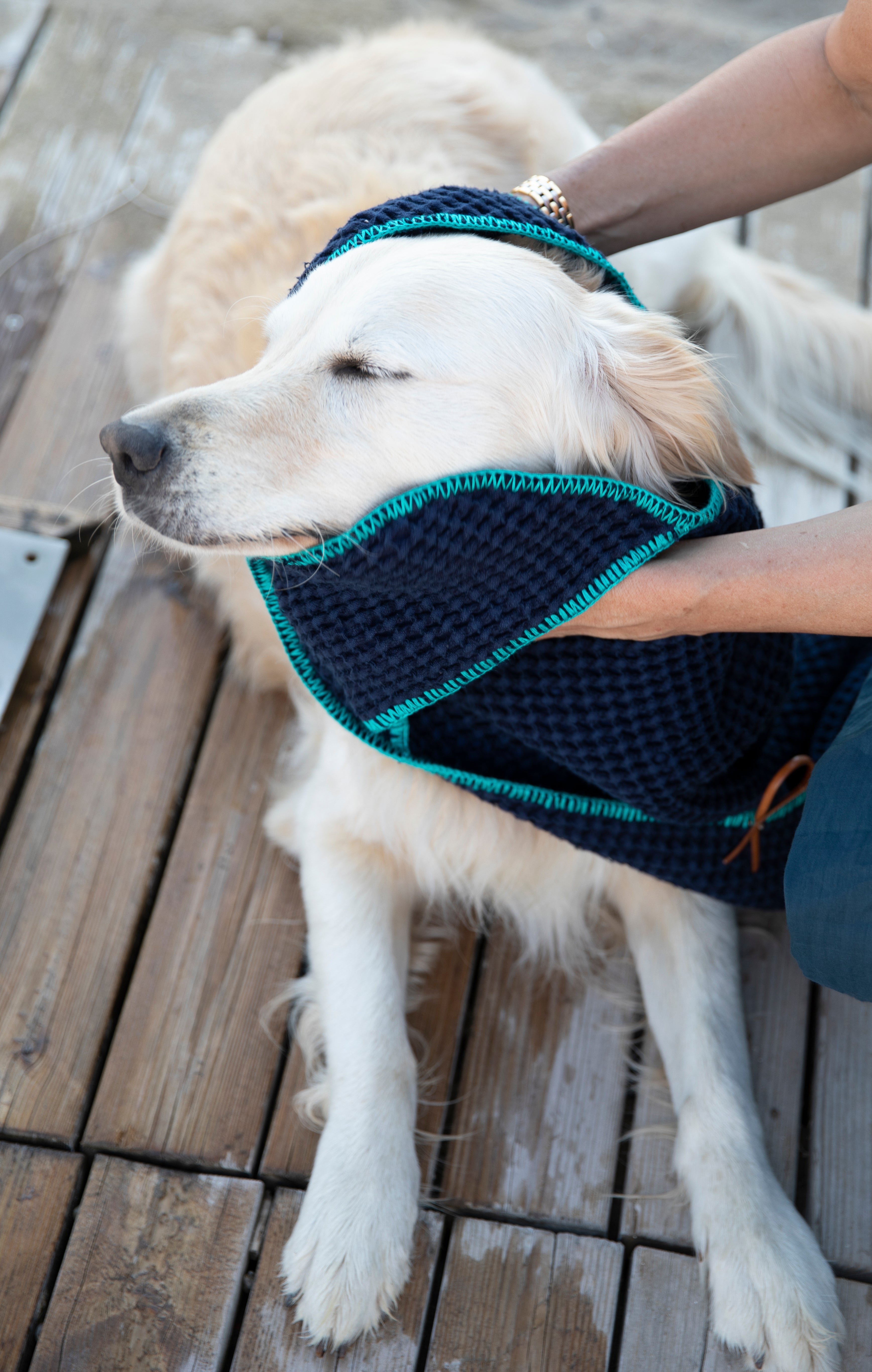 Sally Cotton Dog Towel