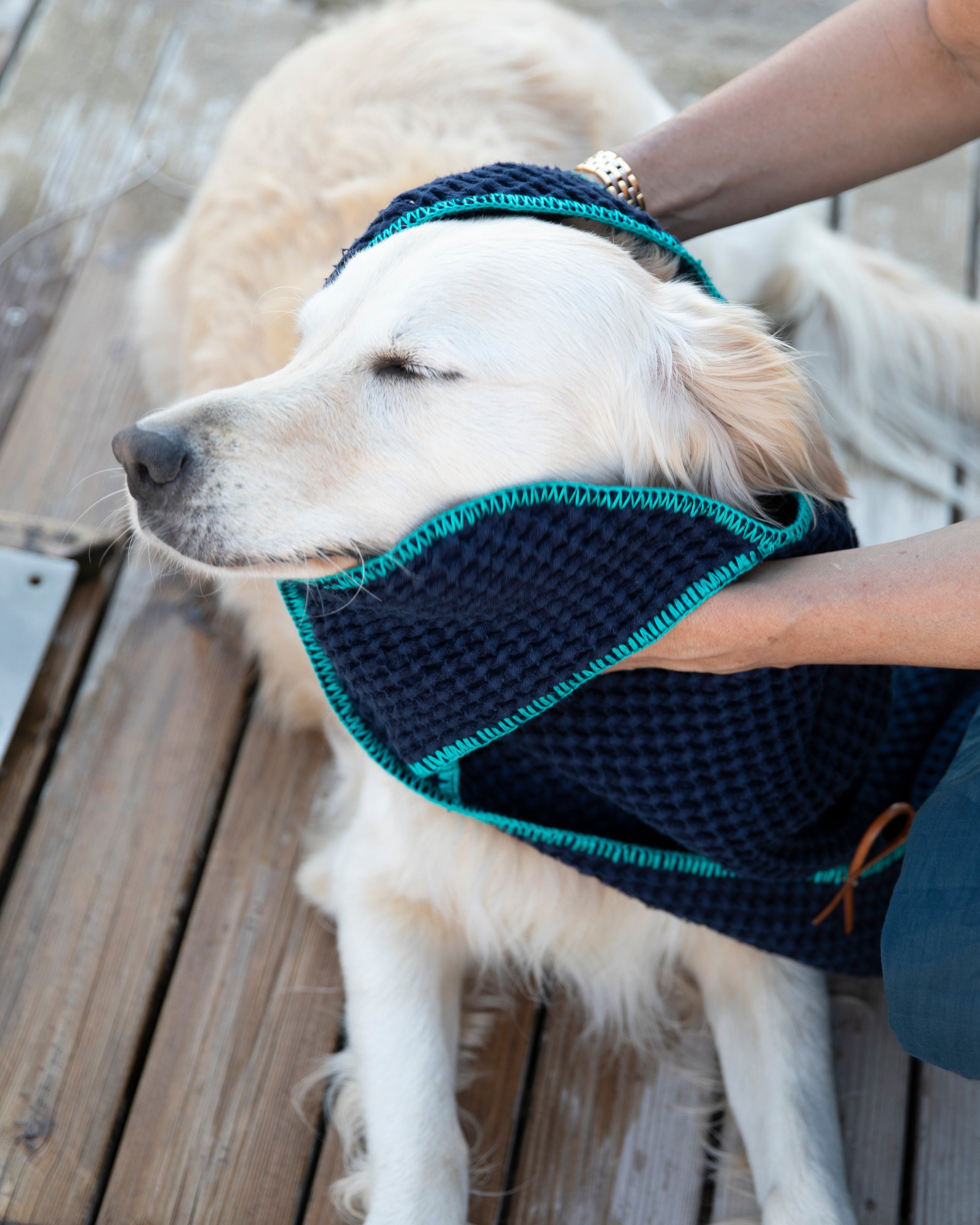 Sally Cotton Dog Towel