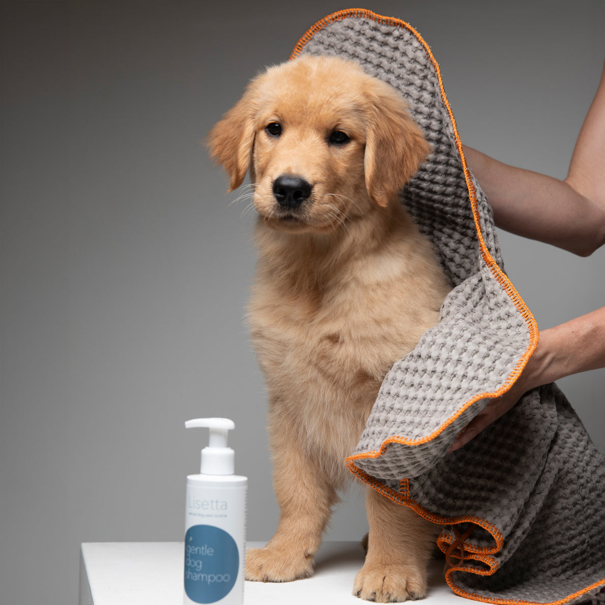 Sally Cotton Dog Towel