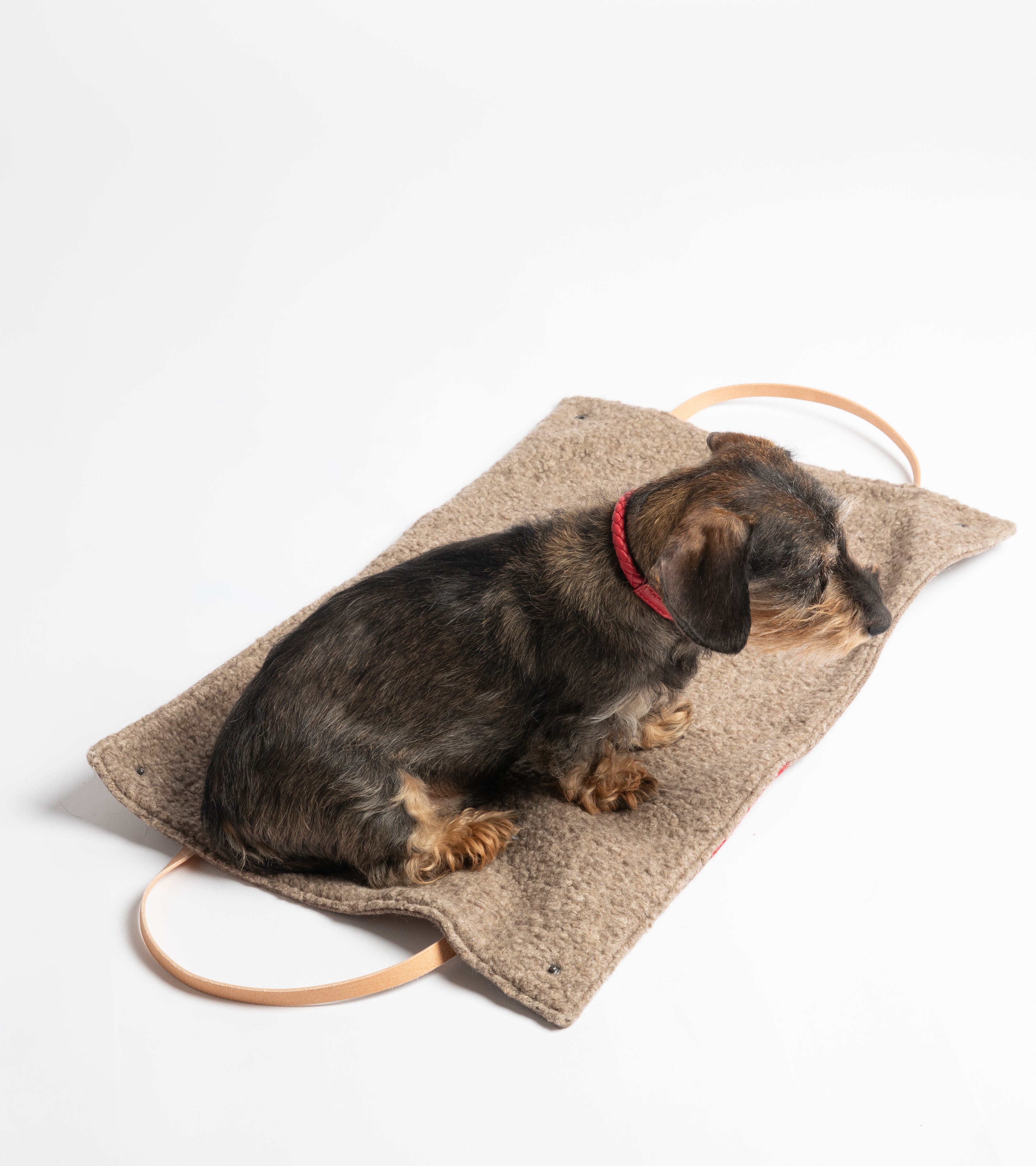 Steve Dog Travel Mat Recycled Wool