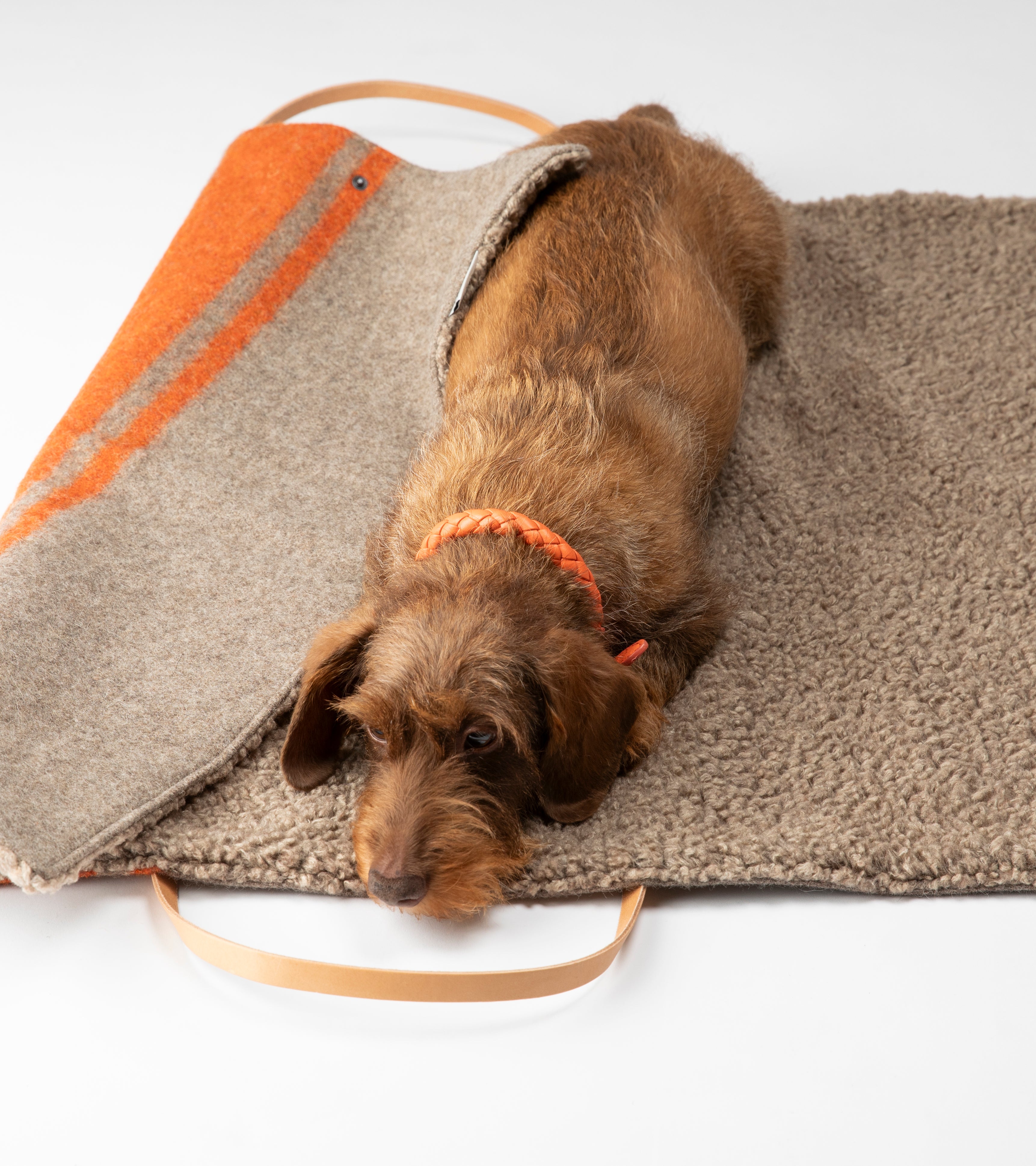 Steve Dog Travel Mat Recycled Wool
