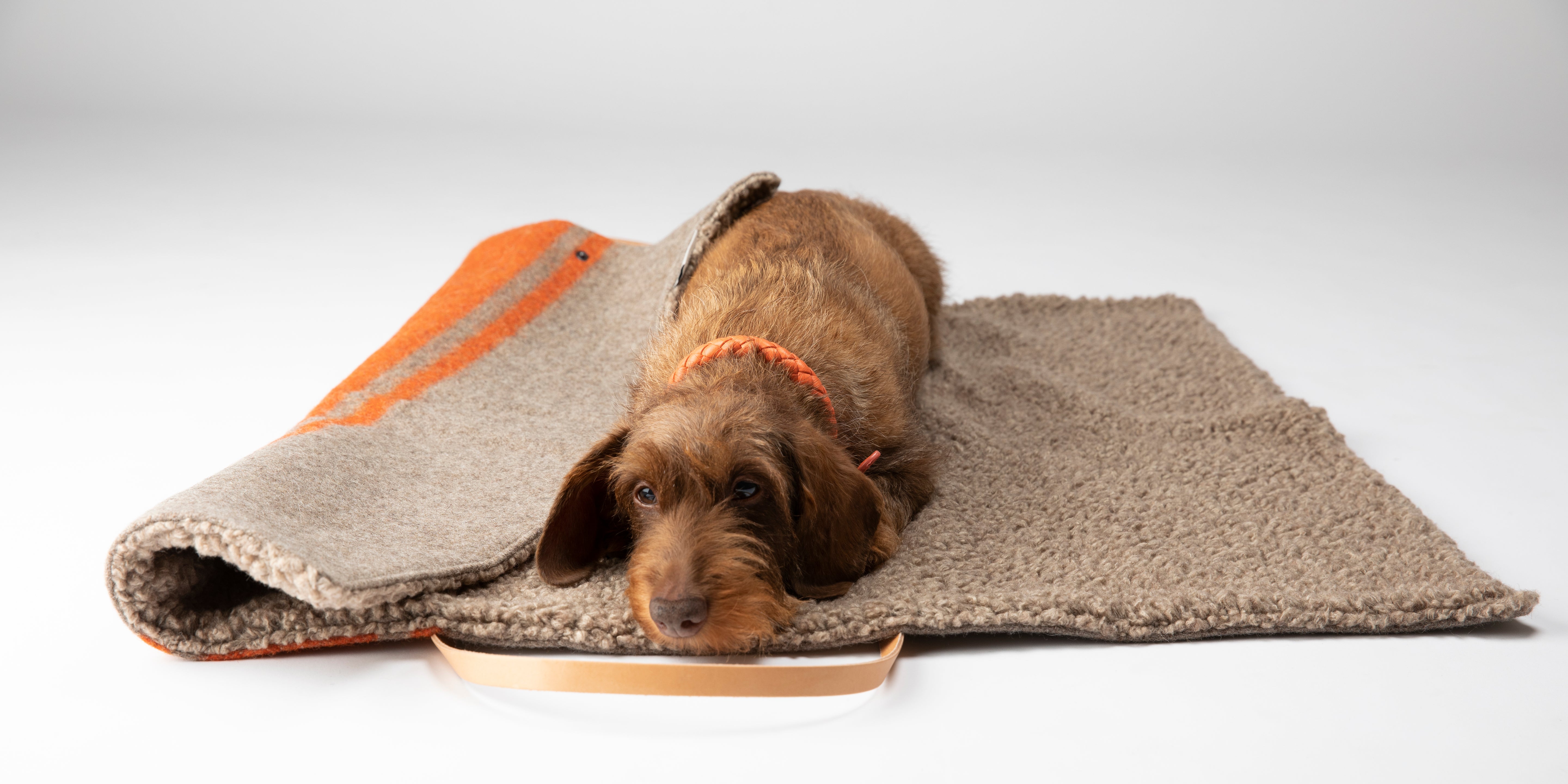 Steve Dog Travel Mat Recycled Wool