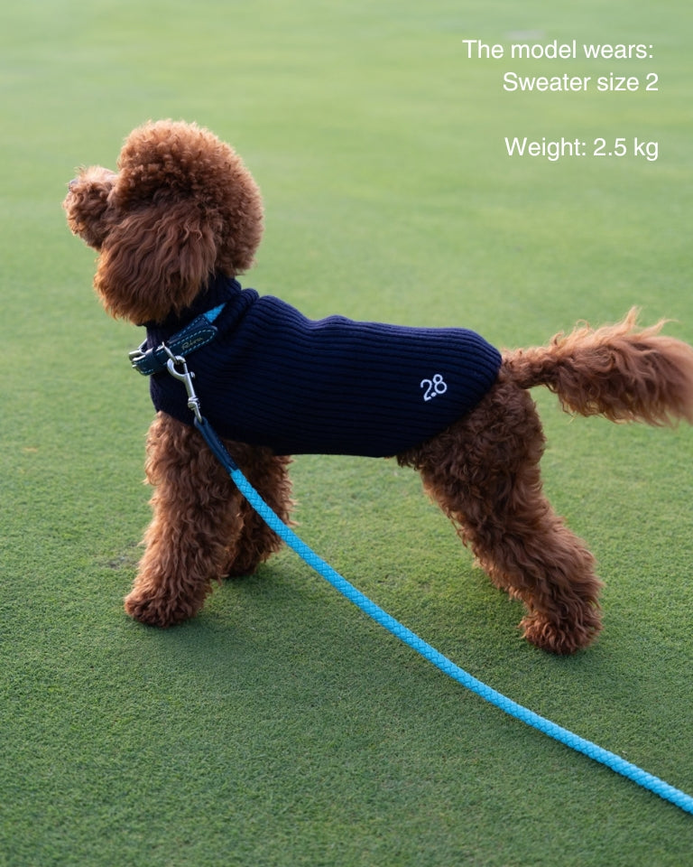 Paul – Maglione per cani in lana merino