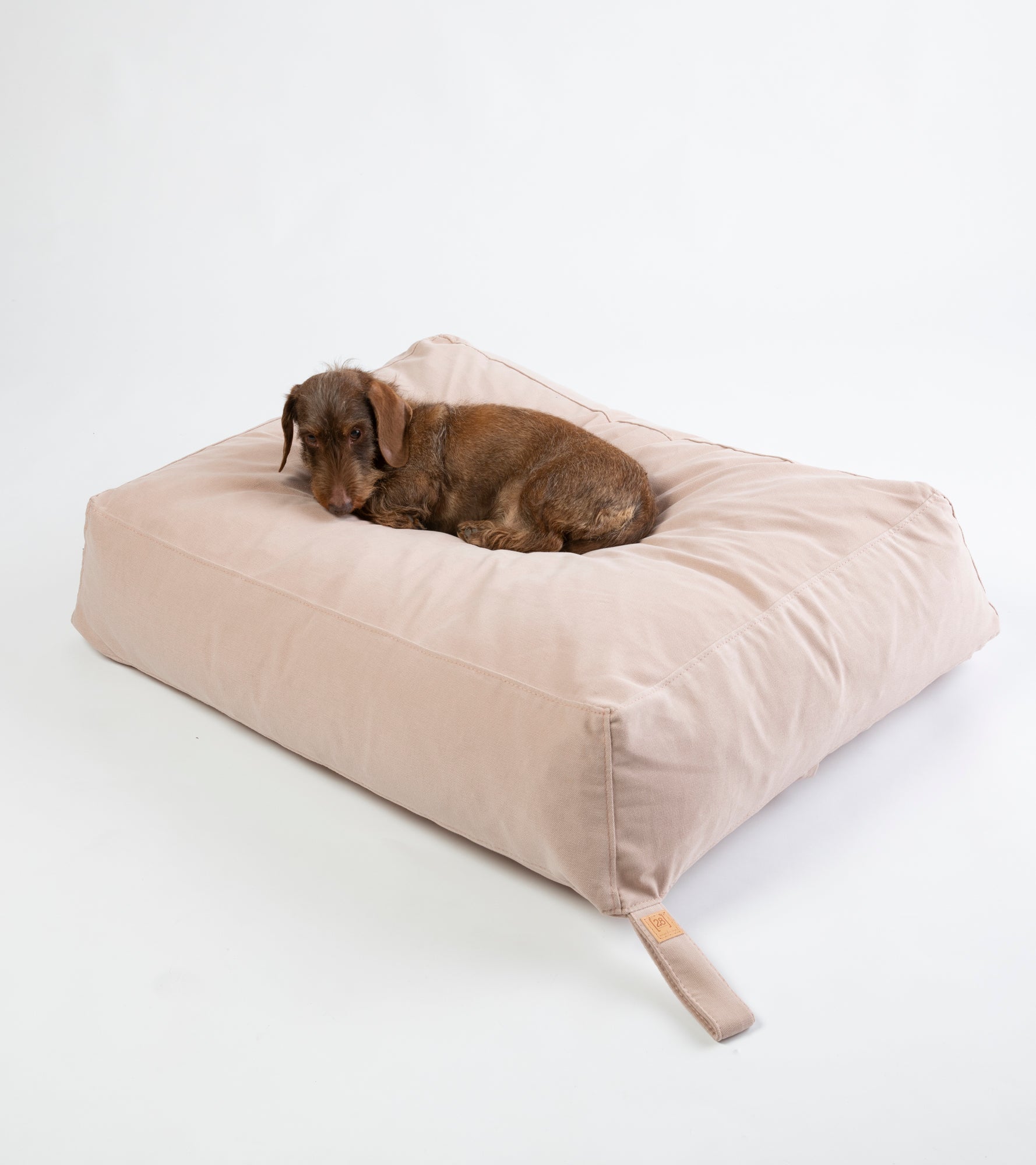 Yousuf - Rose Cotton Dog Pillow