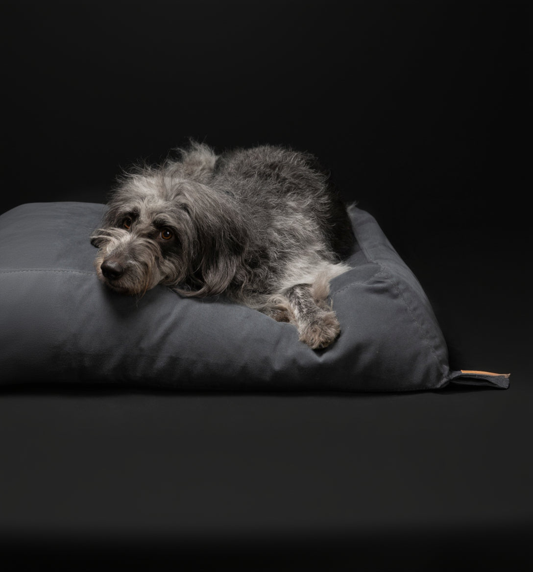 Yousuf - Cuscino in cotone per cani