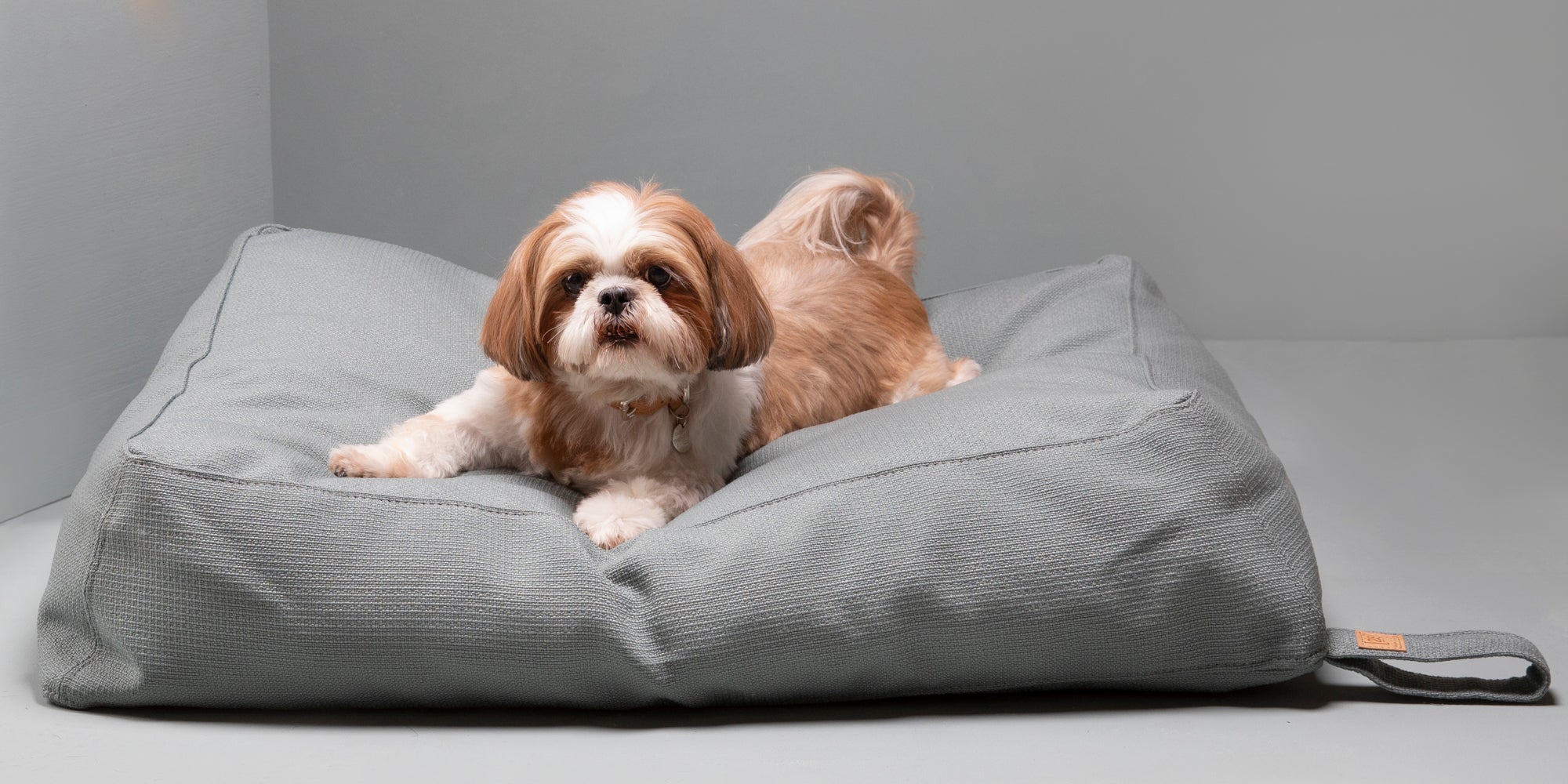 Yousuf – Reviva Dog Cushion